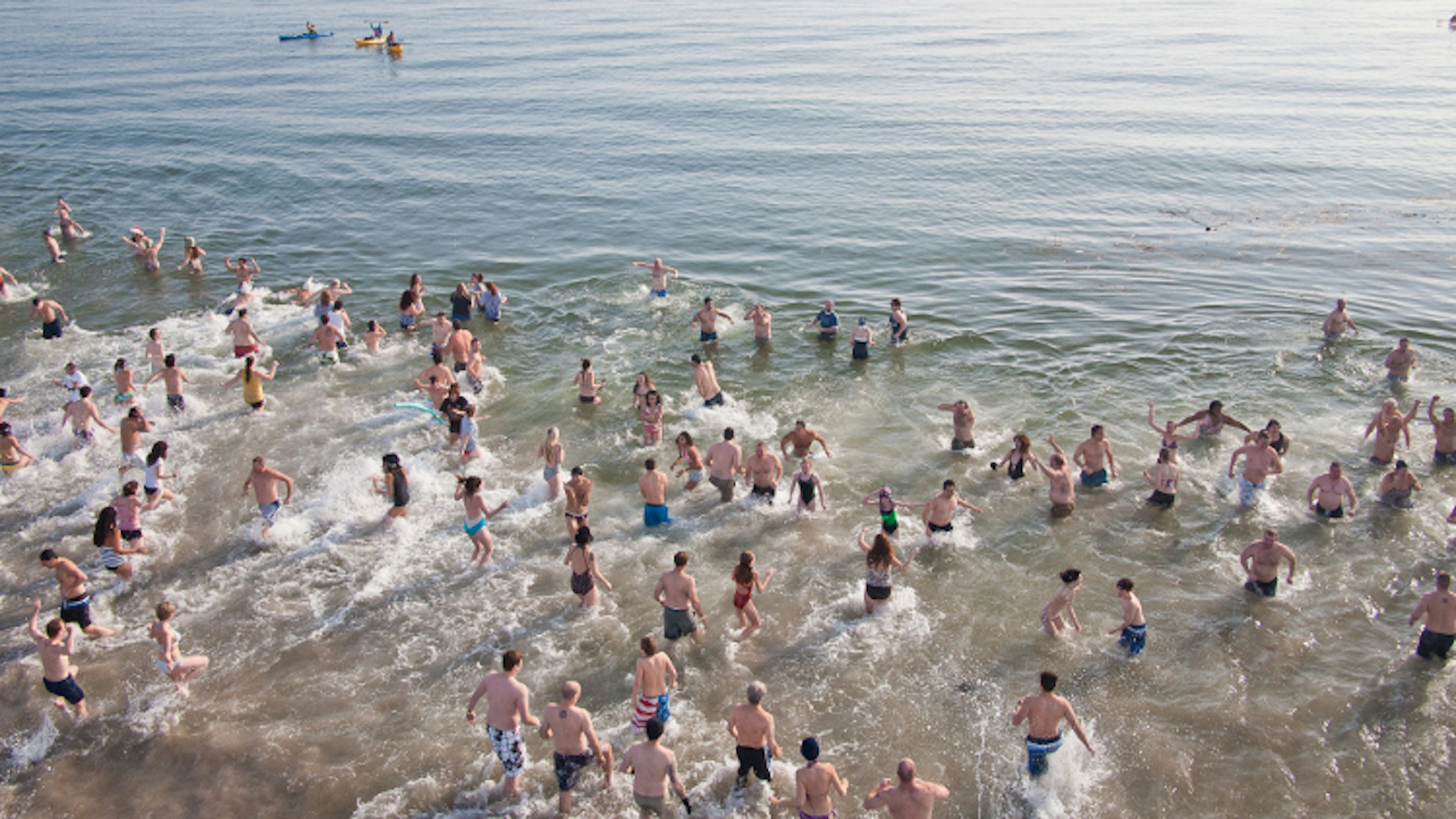 polar-bear-swim-in-new-york-cs