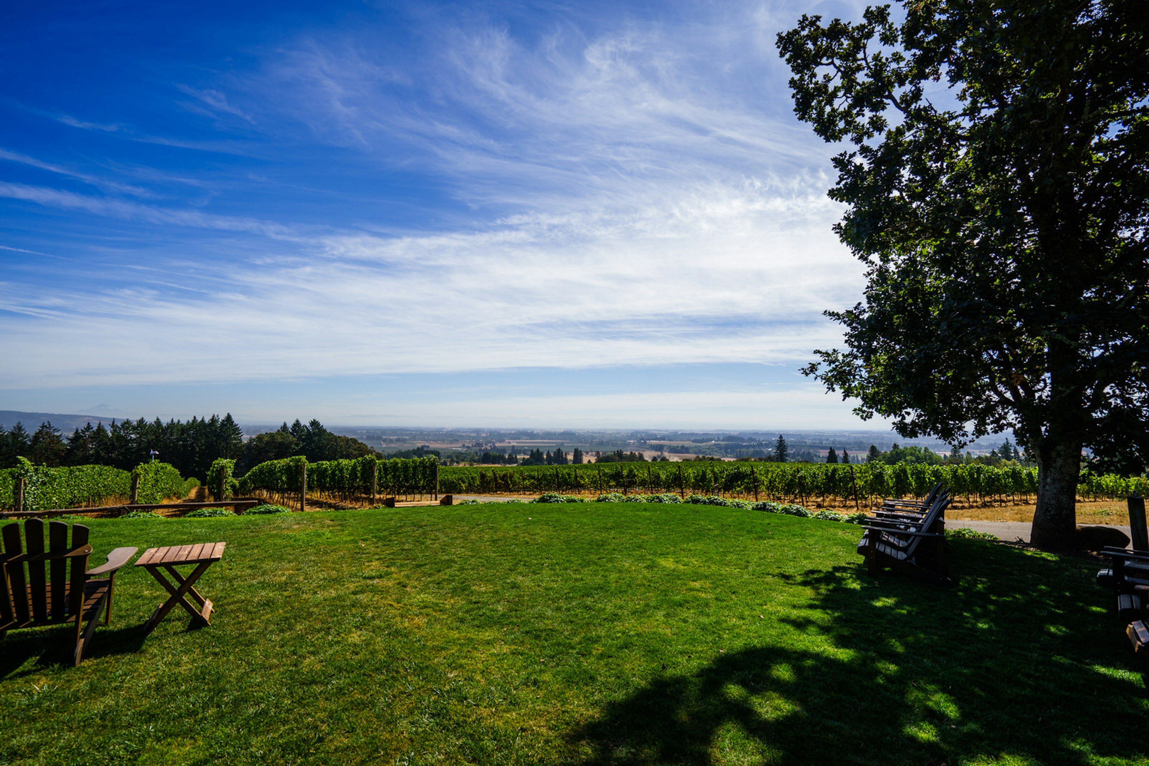 An Adirondak chair and small table are set near a row of grapevines at a vinyard in the Willamette Valley © Trevor Tinker / Getty Images