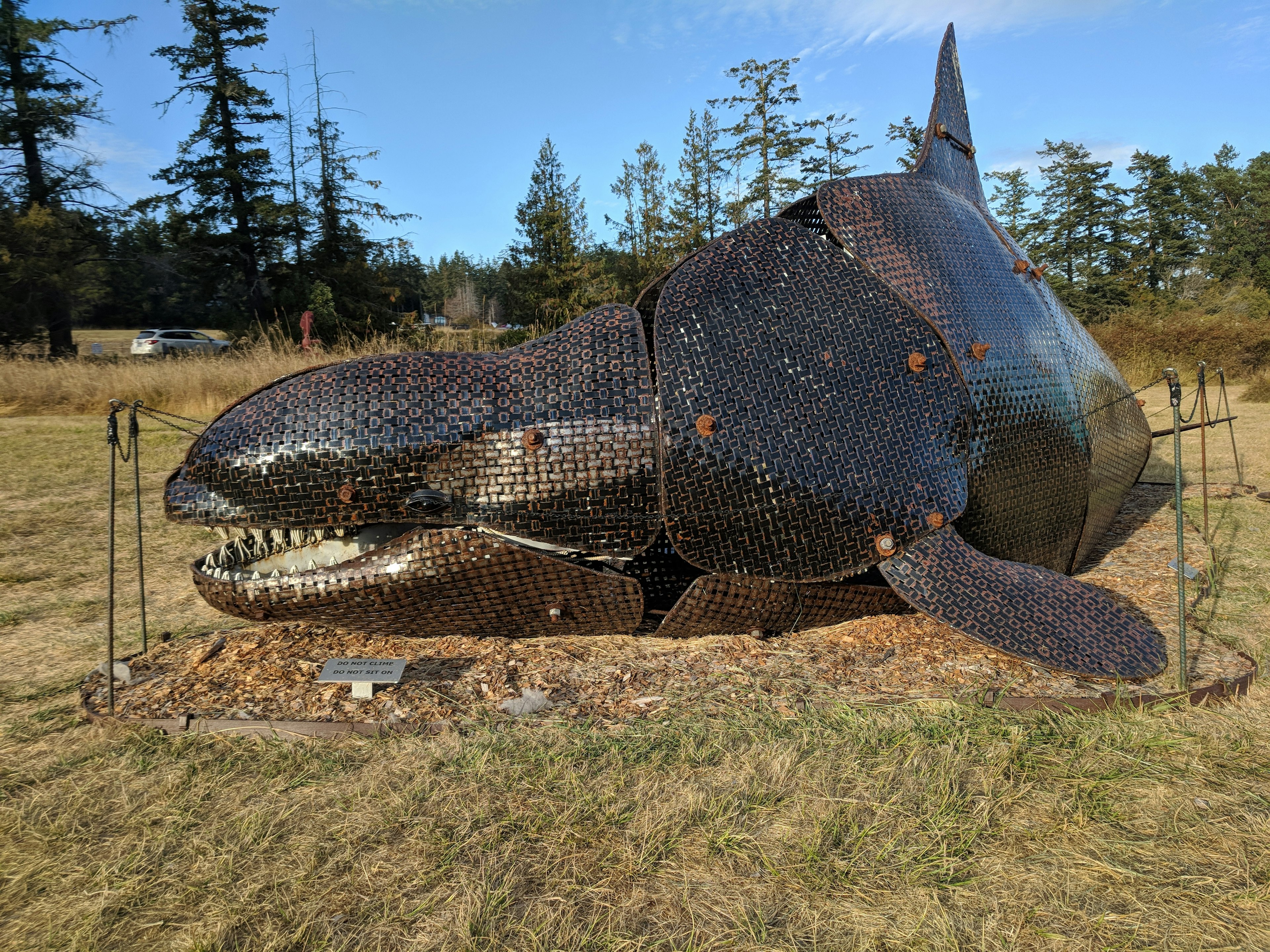 A large metal sculpture of a whale sits in the San Juan Islands Sculpture Fields near Roche Harbor, Washington