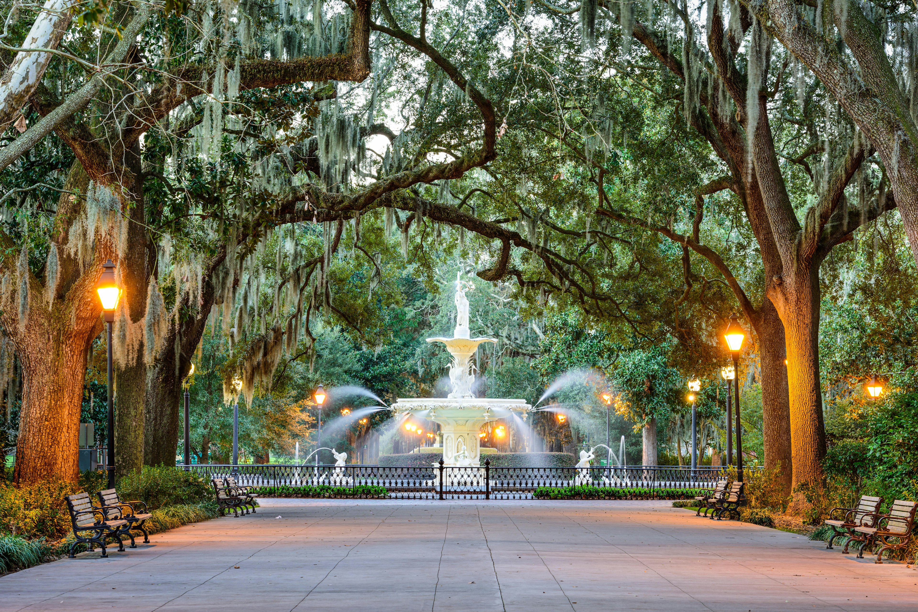 Mossy trees hang over a park fountain