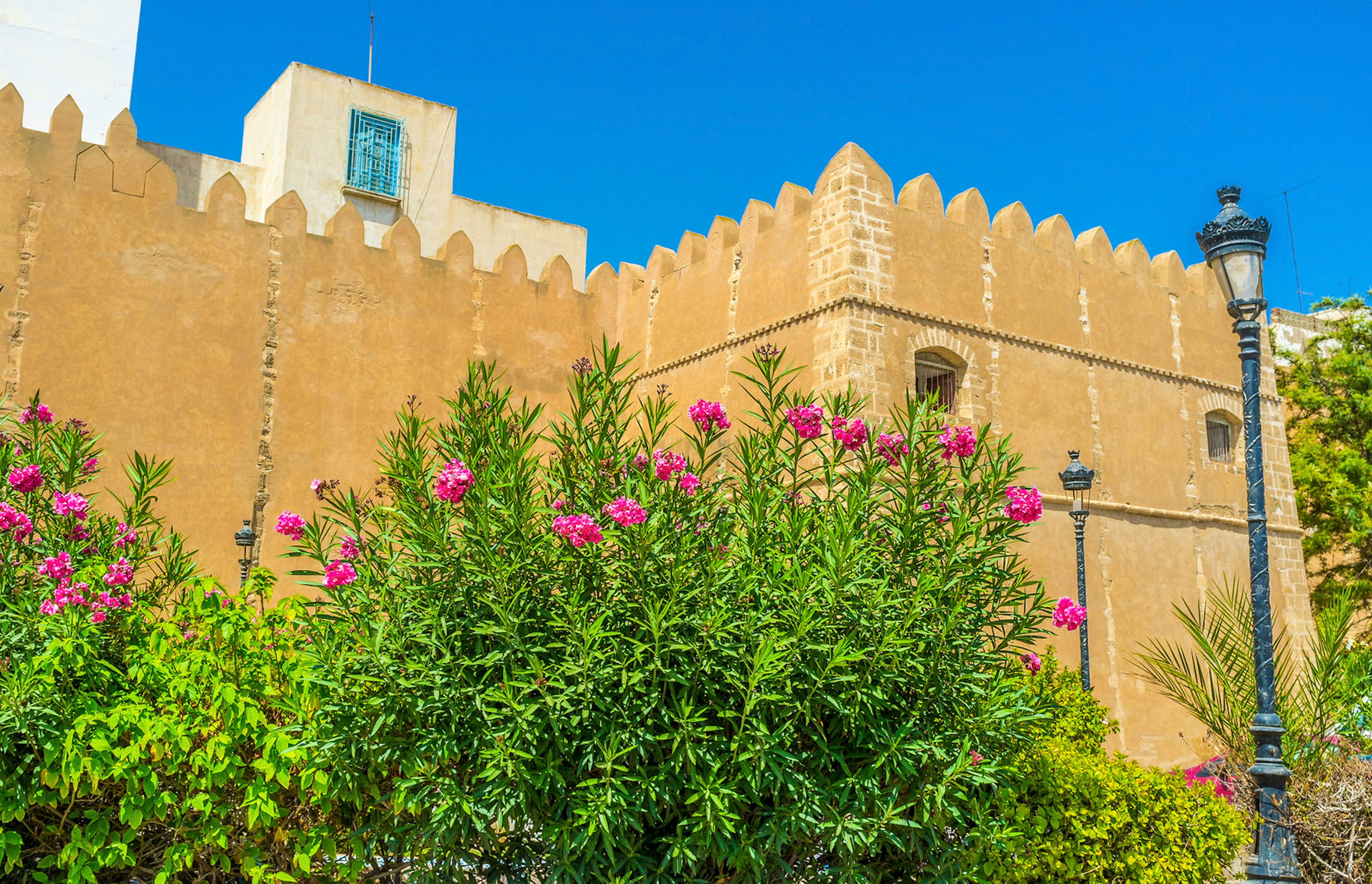 The medieval fortification of Sfax surrounded by lush gardens with many colourful flowers, Tunisia.