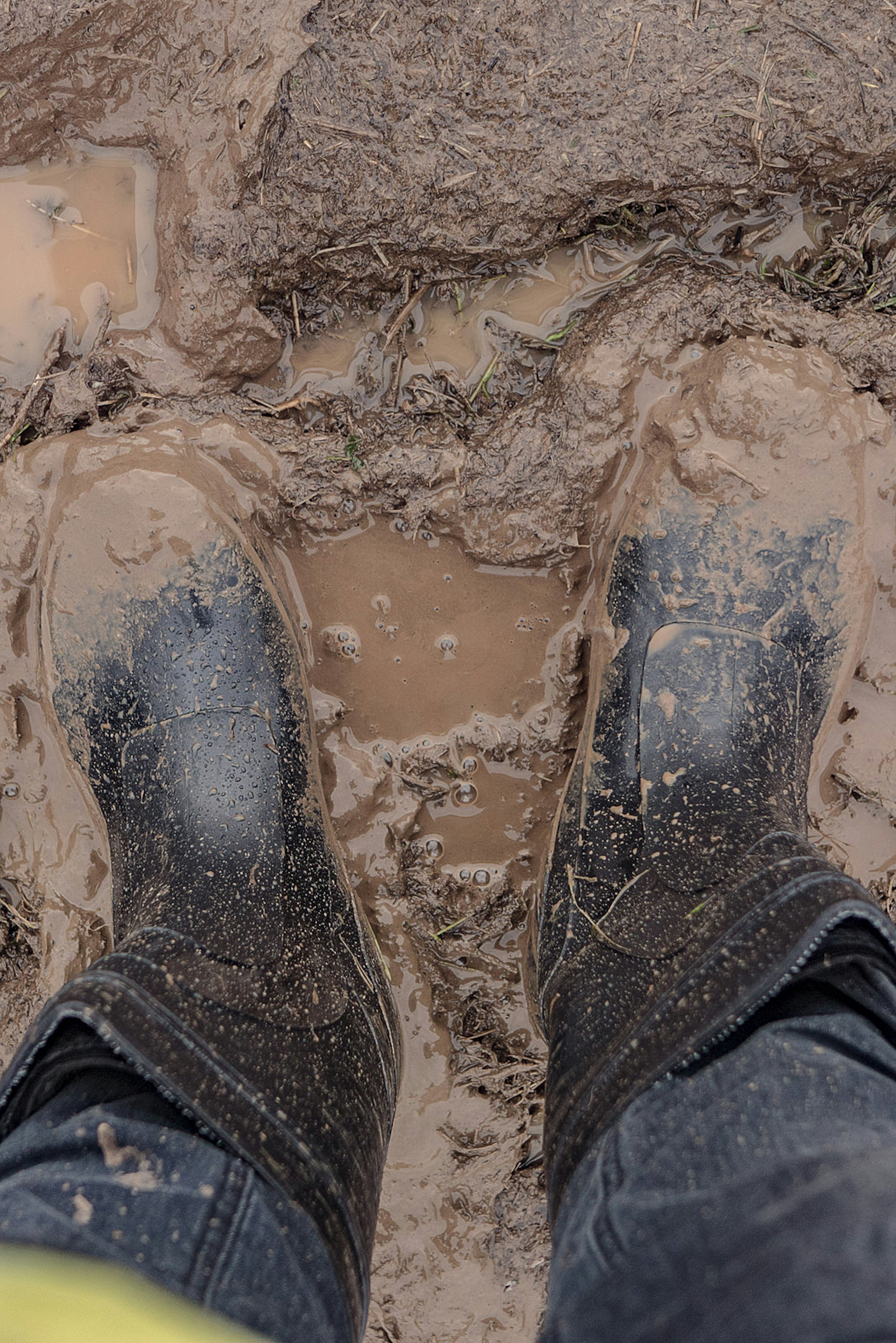 POV shot of a pair of wellington boots in mud © Dmitri Fedorov / Shutterstock