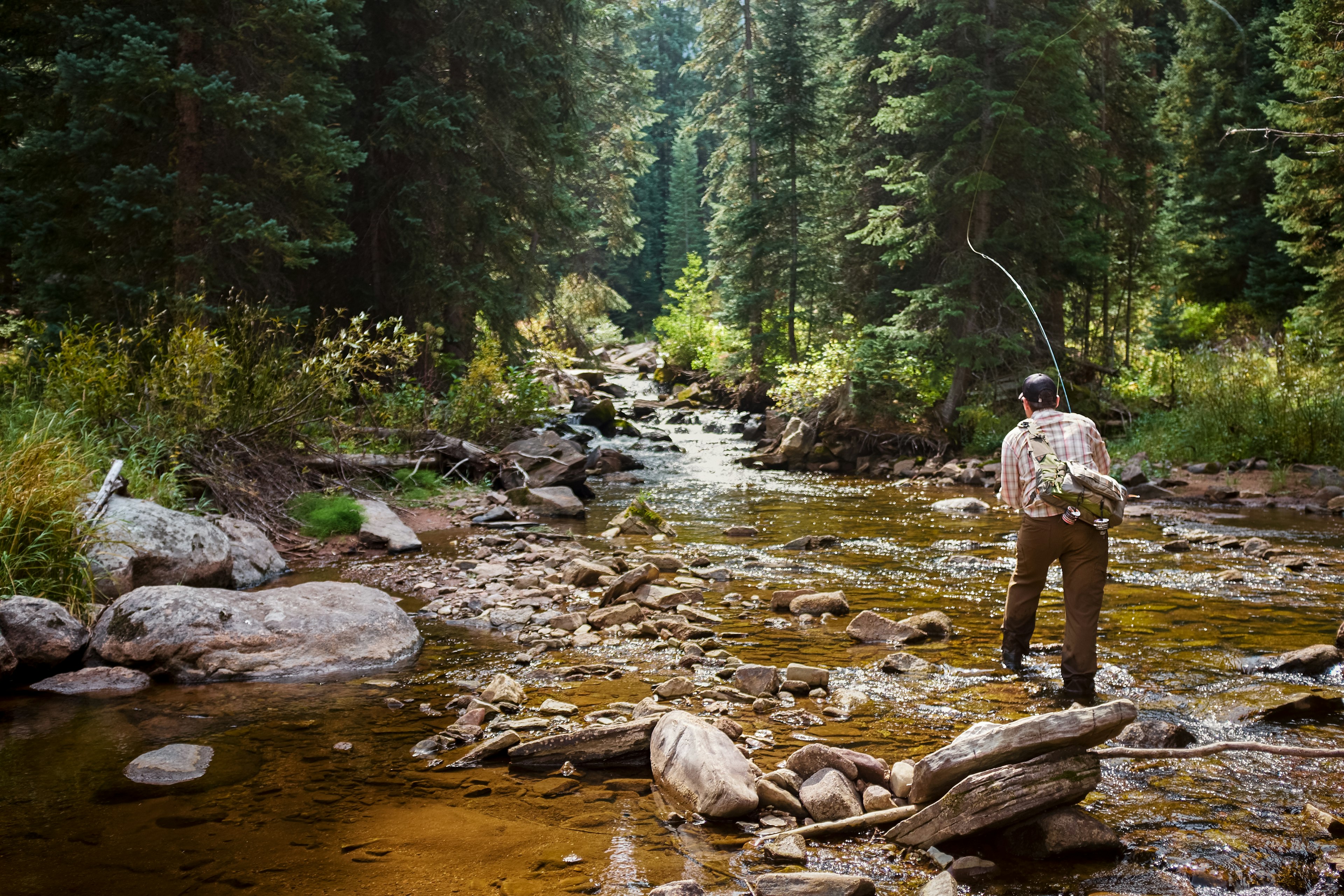 Anglers can enjoy excellent fly fishing in the mountain creeks and rivers near Vail. Shutterstock