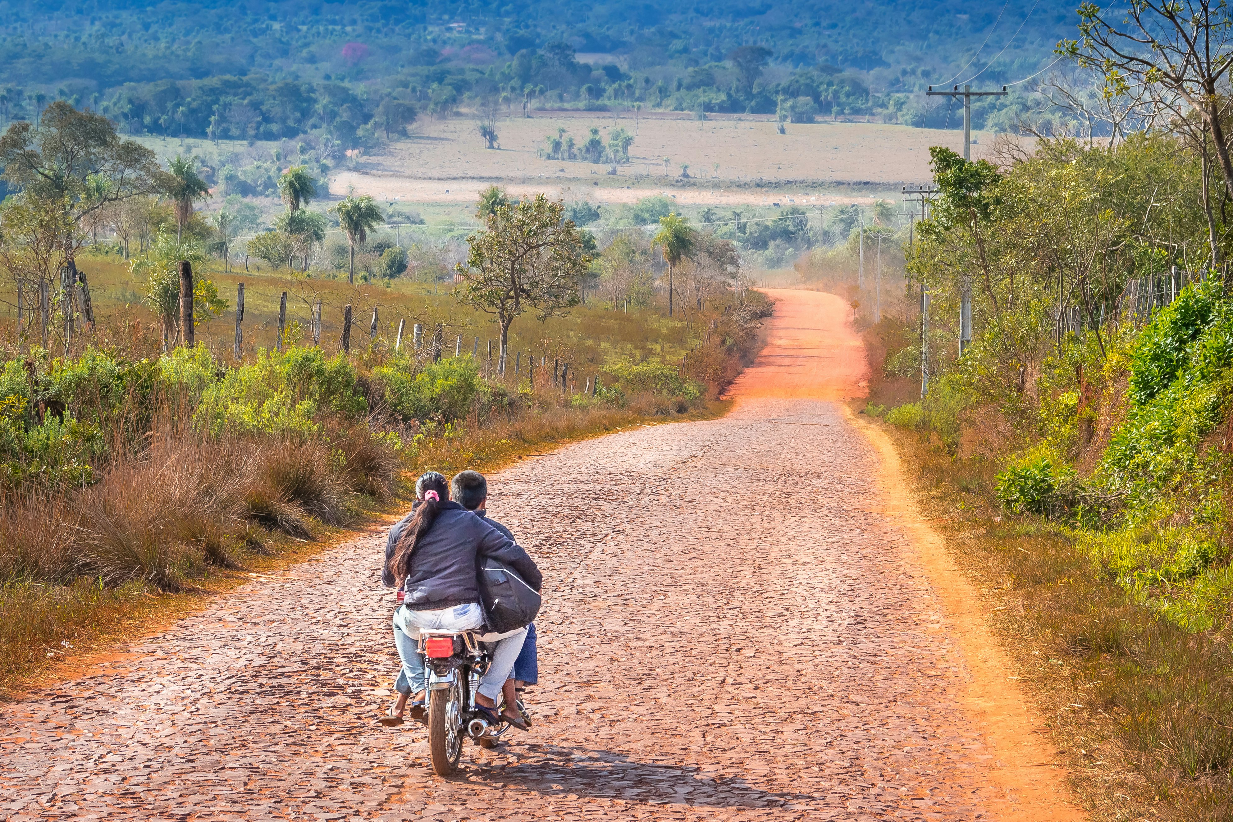 For maximum ease and comfort, you should consider renting your own vehicle in Paraguay. Max Maximov Photography/Shutterstock