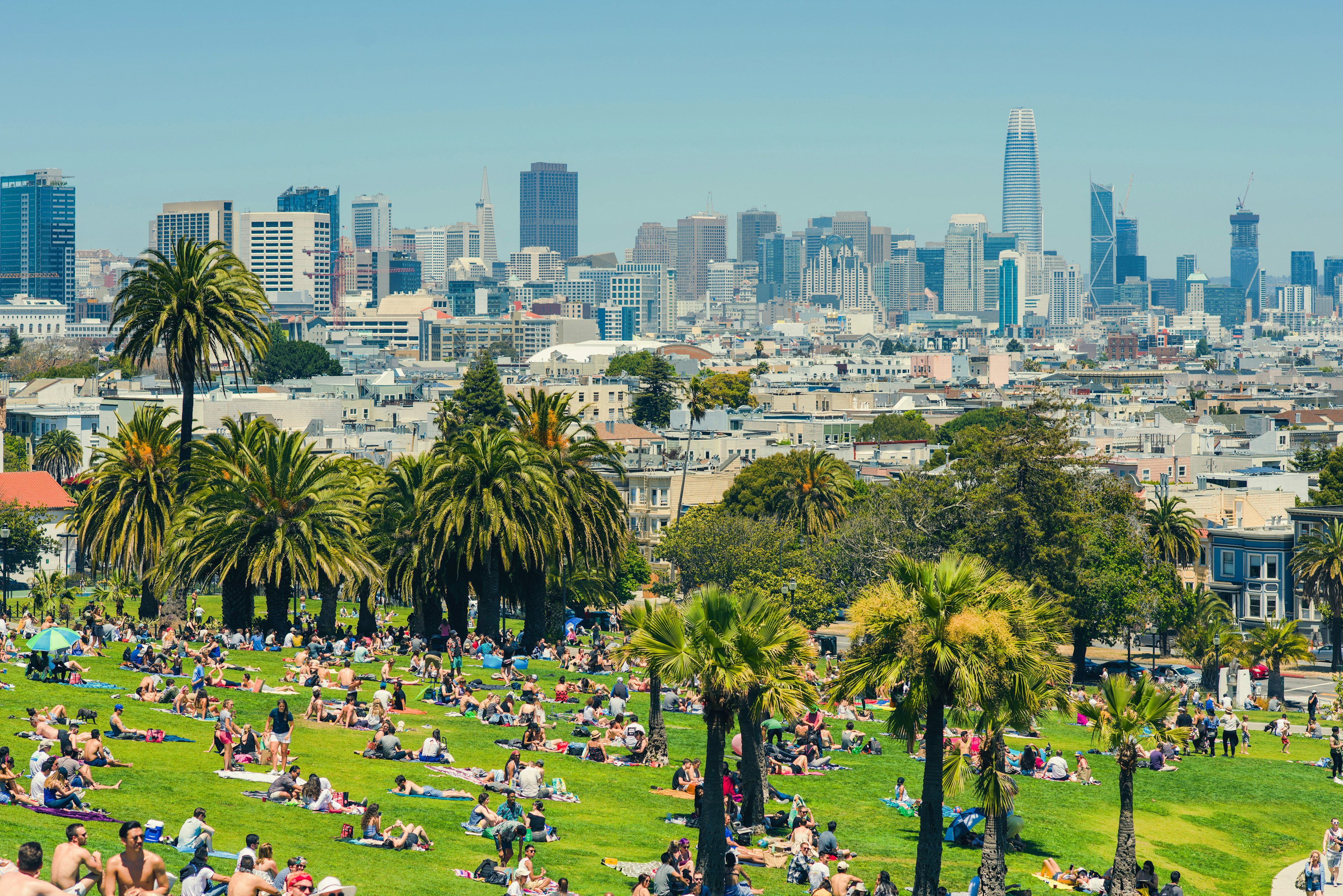 A hillside park with palm trees leads down to a cityscape of skyscrapers