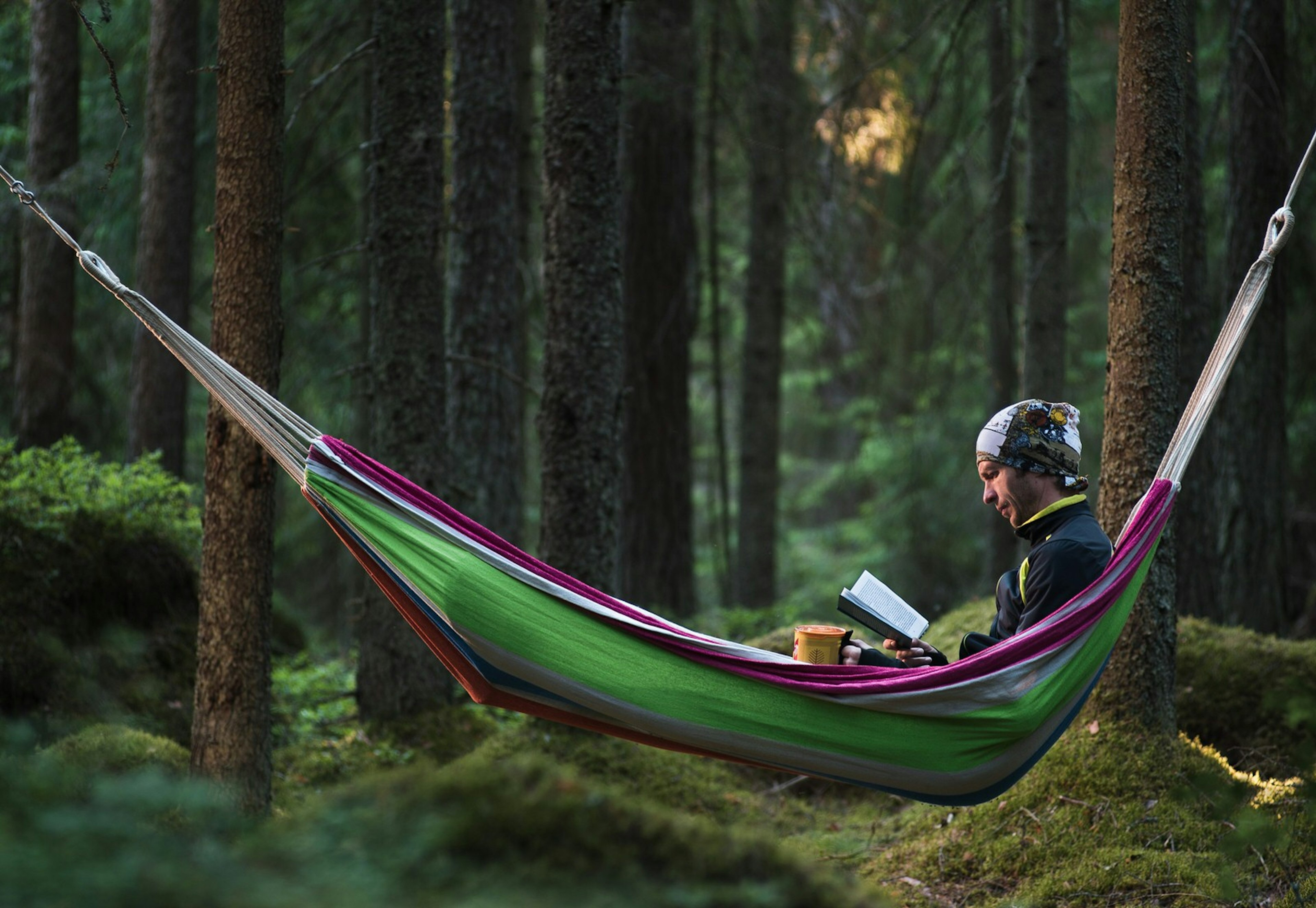 Man reads in a hammock in a forest