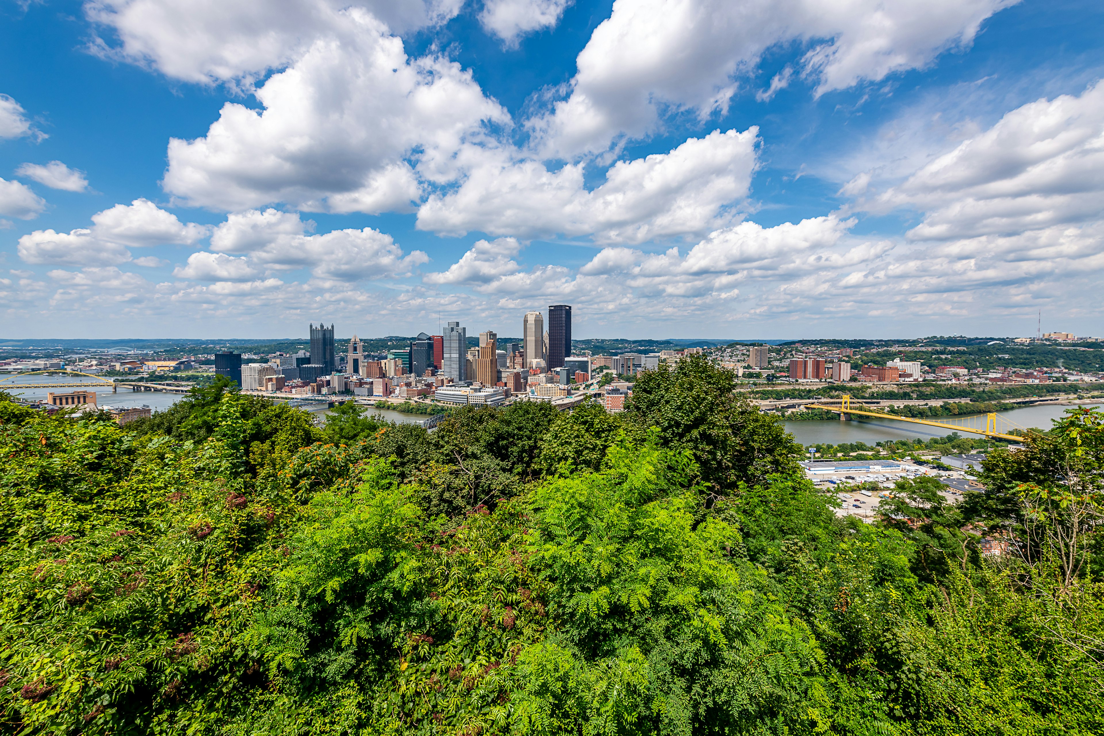 A view of verdant trees in summer with the skyline of Downtown Pittsburgh beyond from Emerald View Park