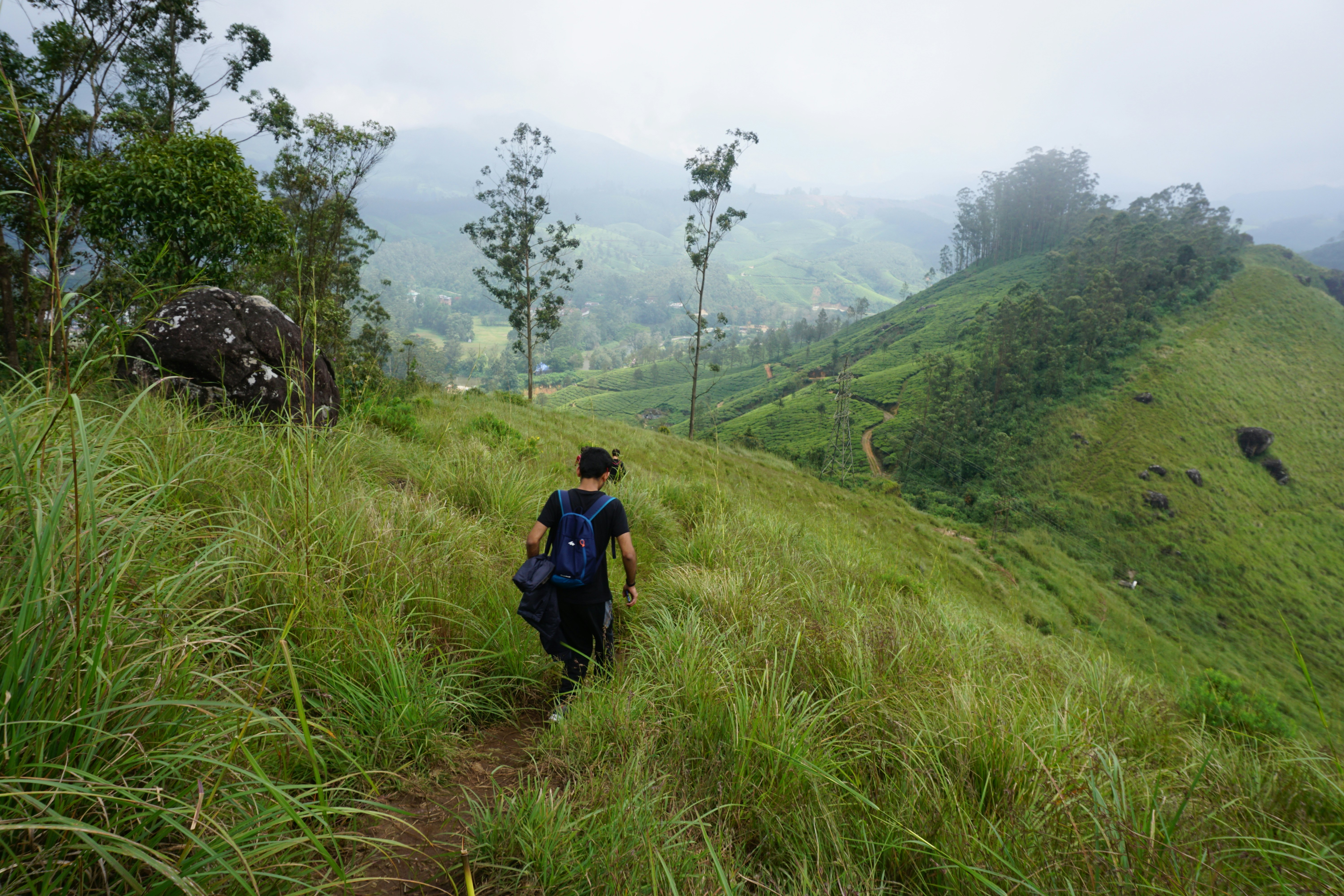 Be sure to leave time on your Kerala itinerary to explore the misty Western Ghats. Vihang Ghalsasi/Shutterstock