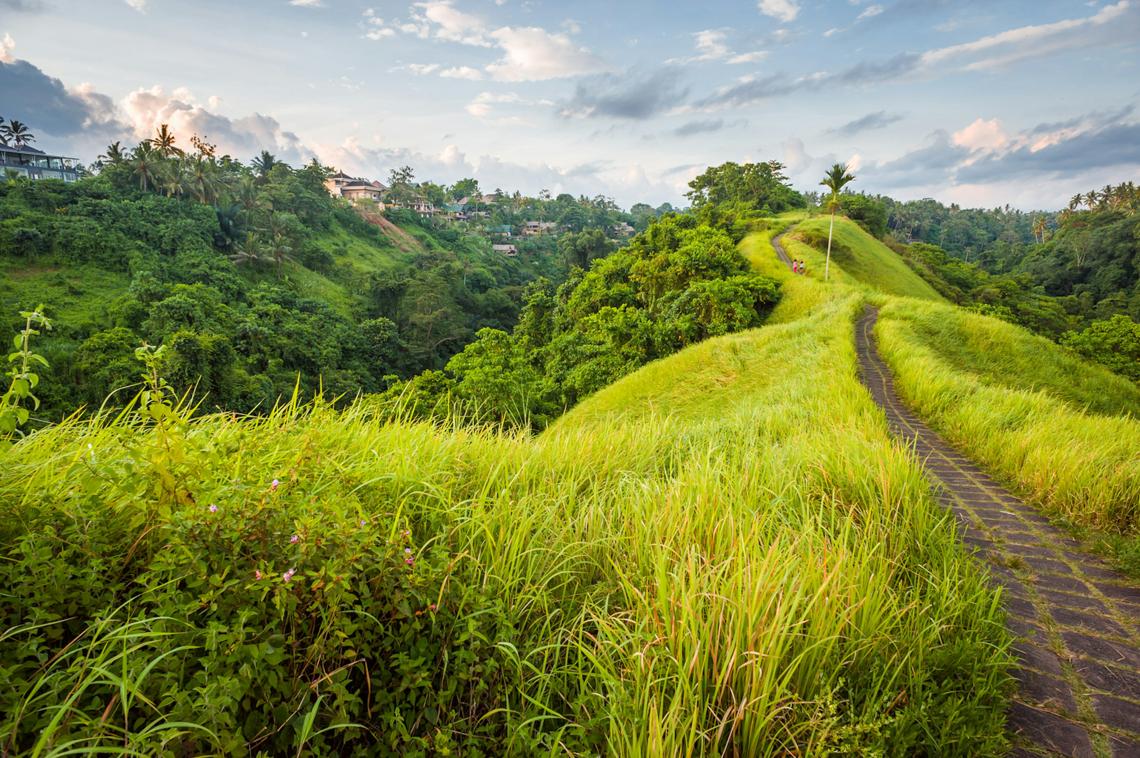 Campuhan Ridge hike, made up of square stones set into grass, running along the crest of a vibrant green hill; the gullies on either side are full of lush forests