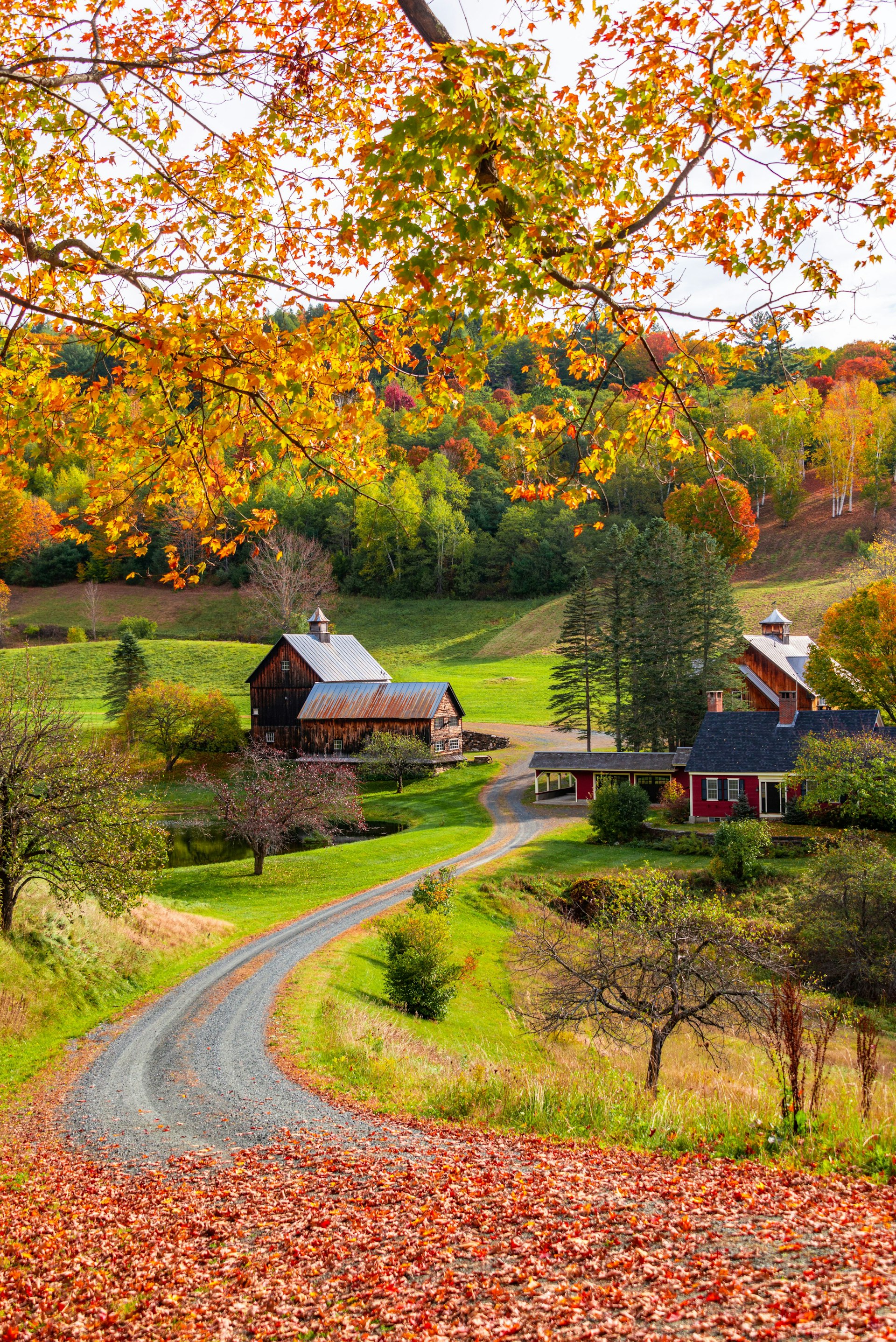 Beautiful Fall colors with farmhouse in New England in USA