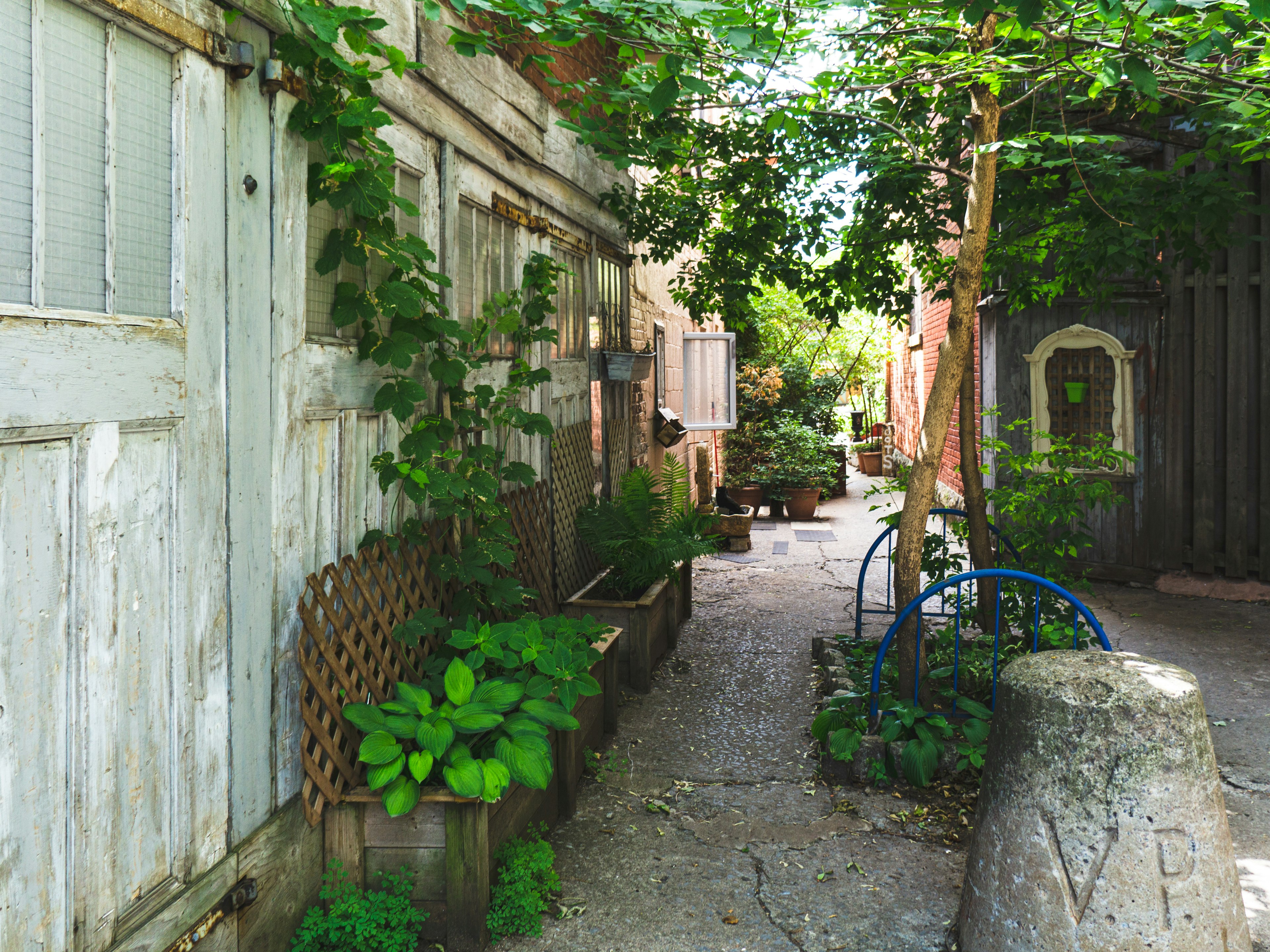 Neighborhoods like Plateau give Montréal its texture and charm – so be sure to explore well away from downtown and the Old Port. Shutterstock