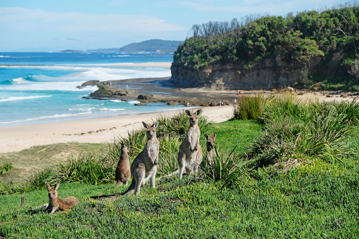 how-to-plan-a-camper-trip-around-australia-lonely-planet