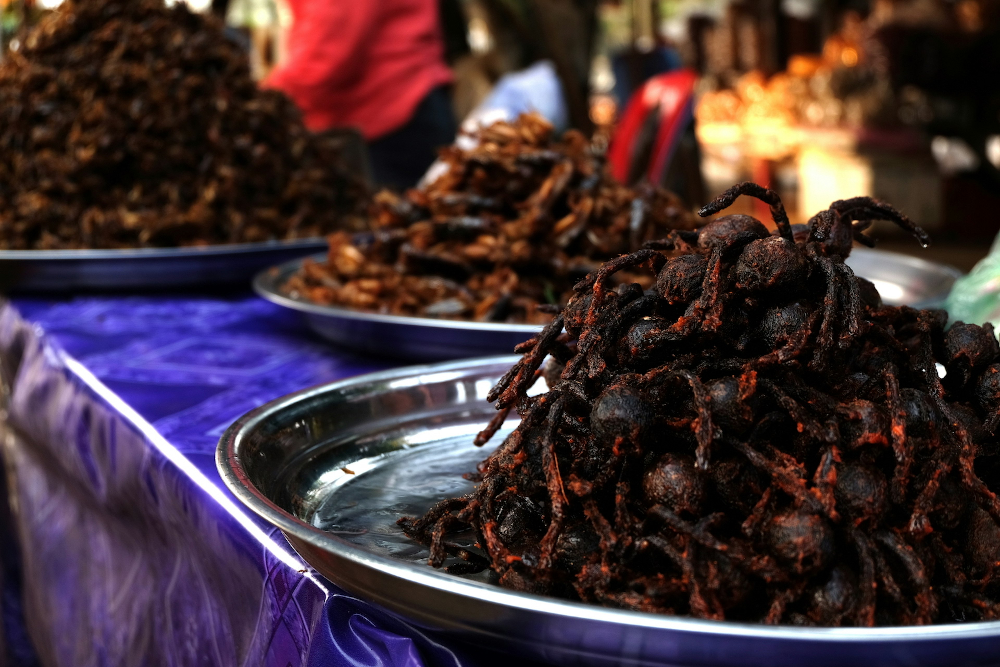 A platter of fried tarantulas