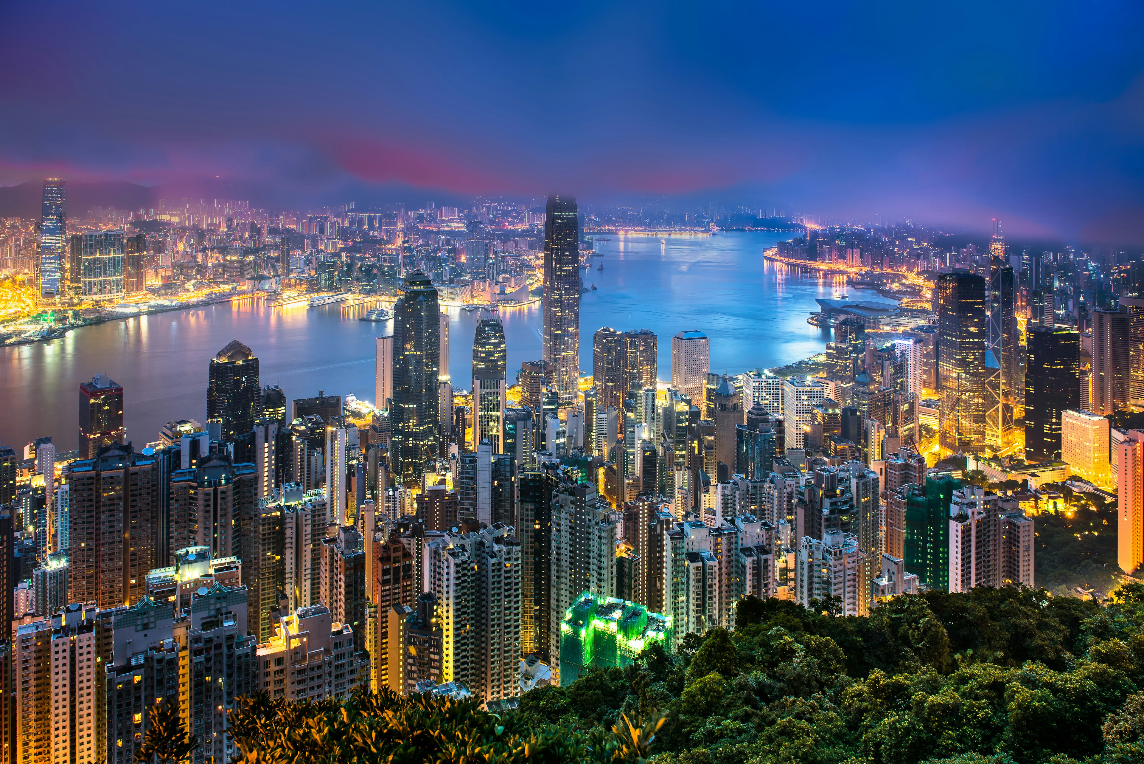 Ночной городской пейзаж, с деревьями на переднем плане и яркими небоскребами на заднем плане