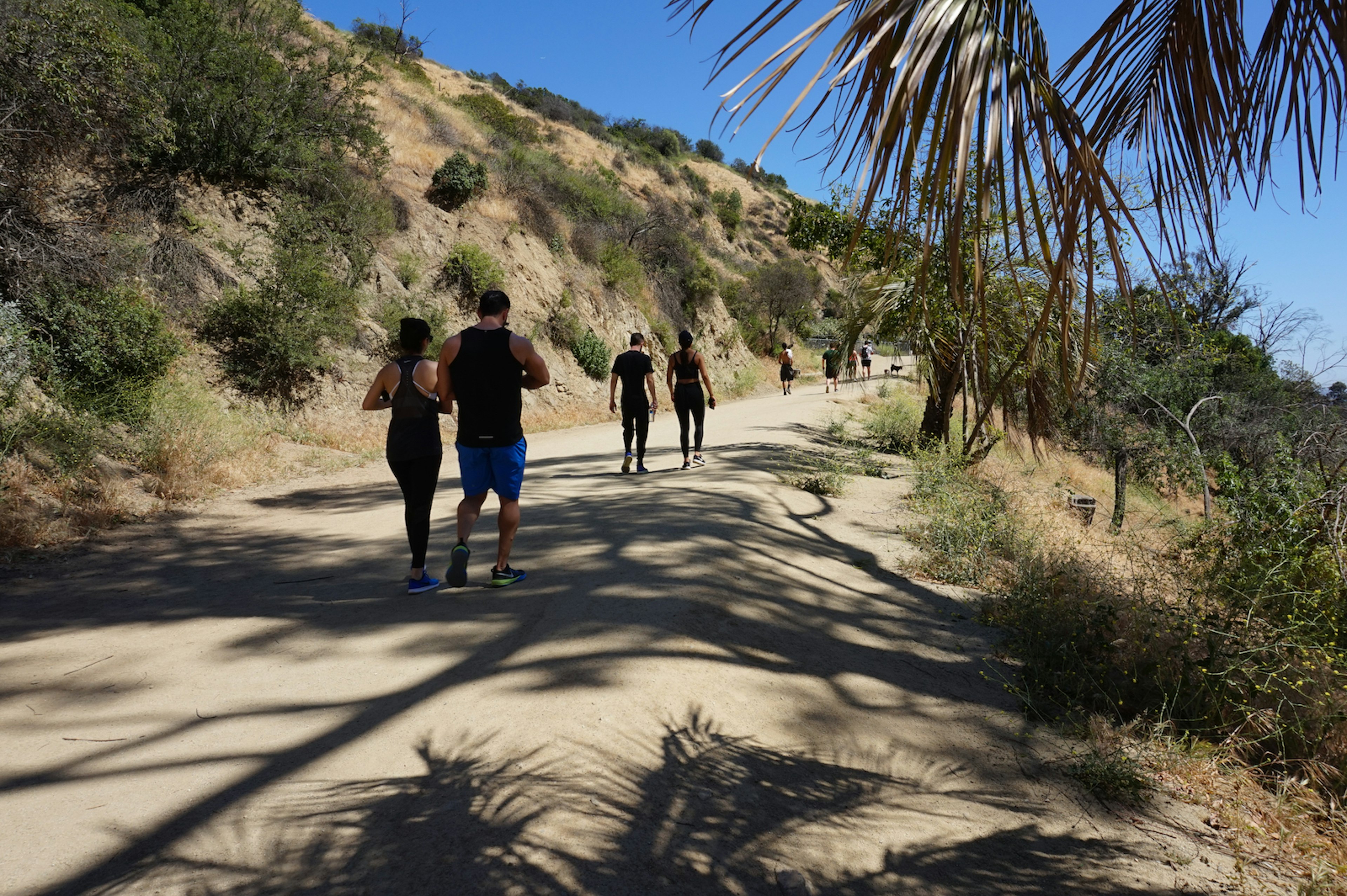 People walk along a hiking trail at Runyon Canyon Park, in the Hollywood Hills, Santa Monica Mountains, California.