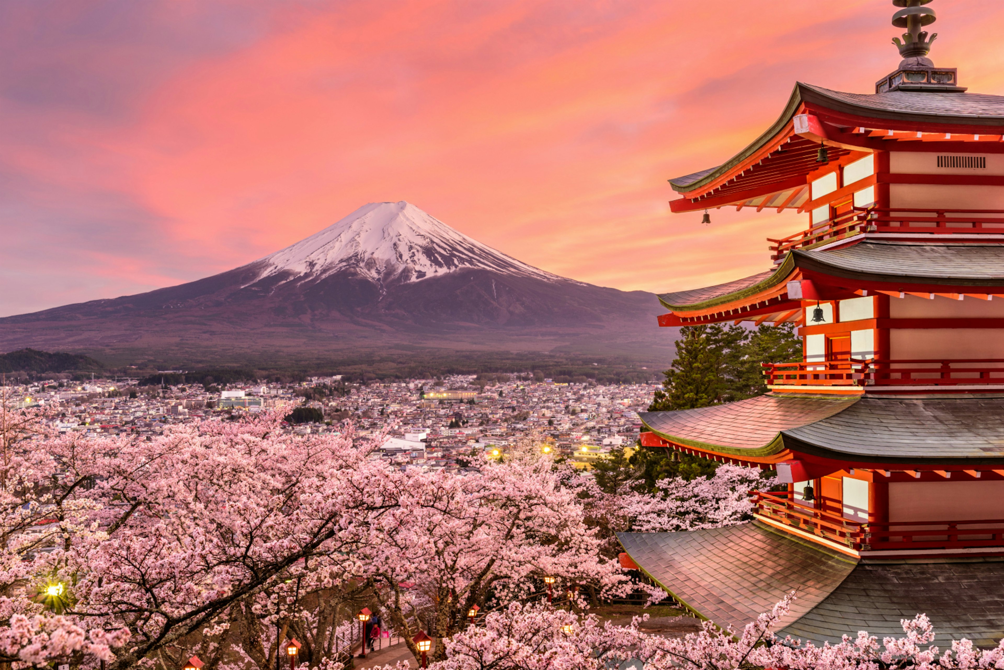 View of Mt Fuji with cherry blossoms