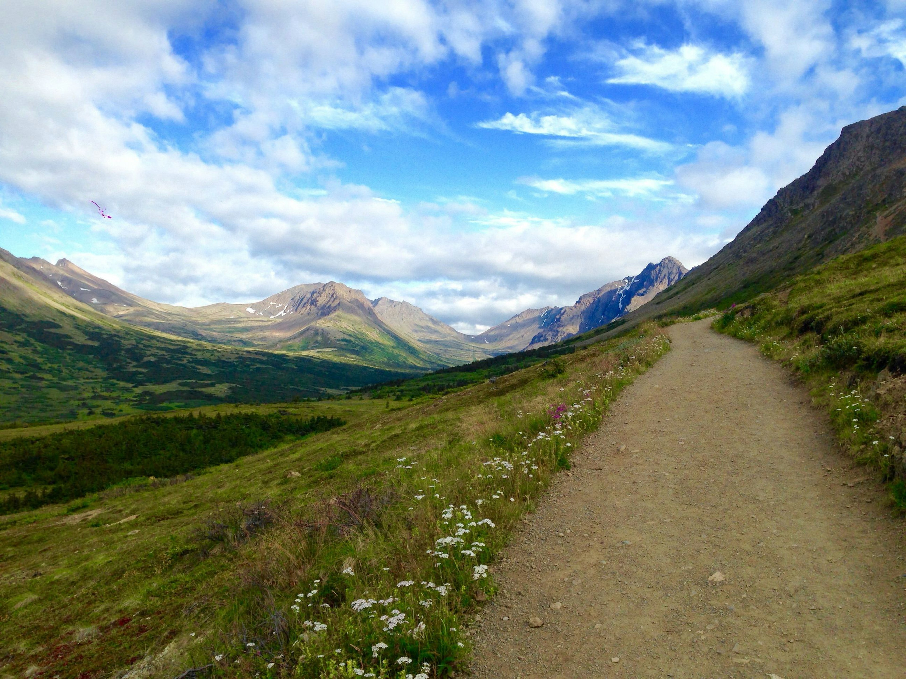 An earthen track leads away from the camera, through an expanse of grassy hills; there are snow-dusted mountains in the distance.