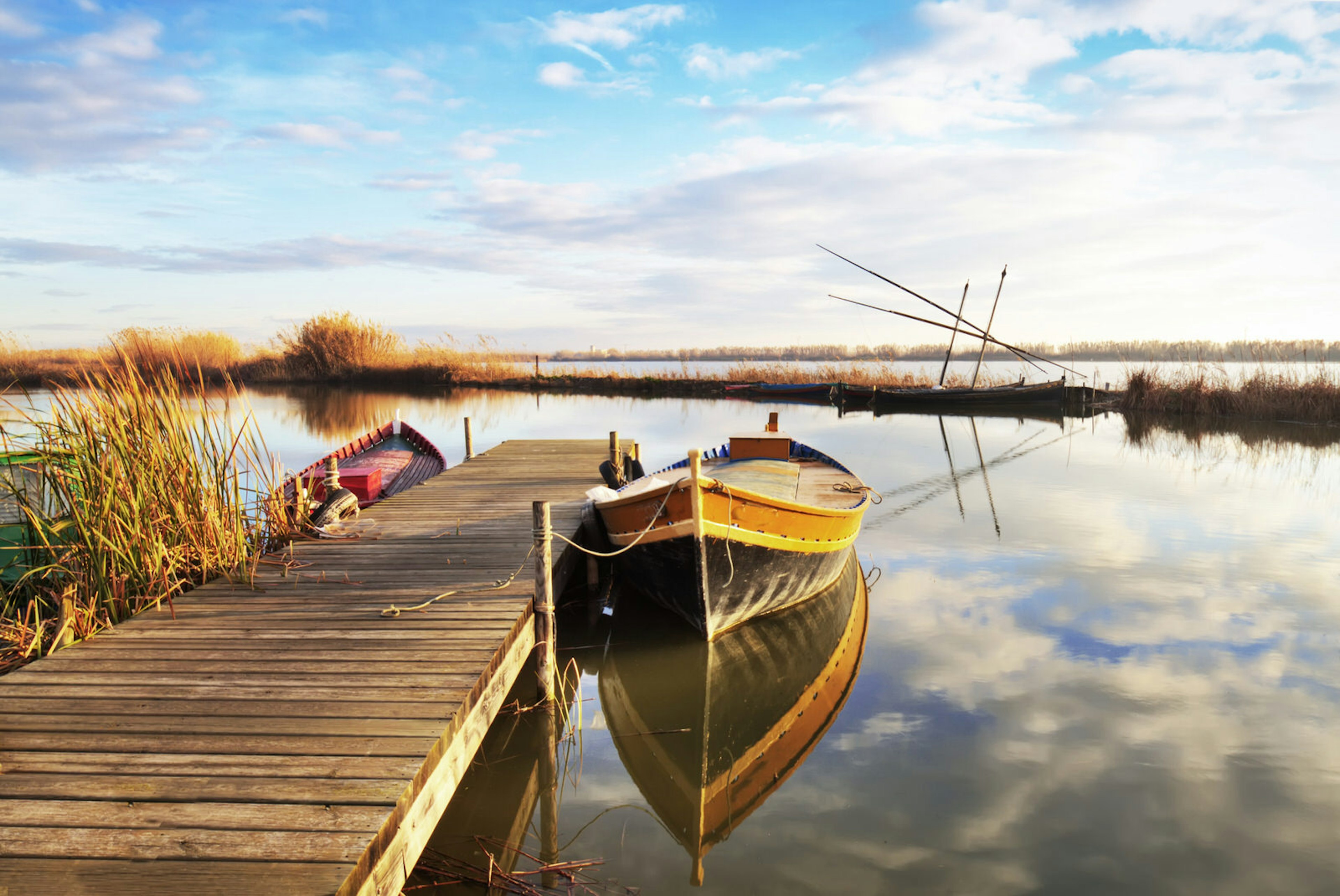 La Albufera