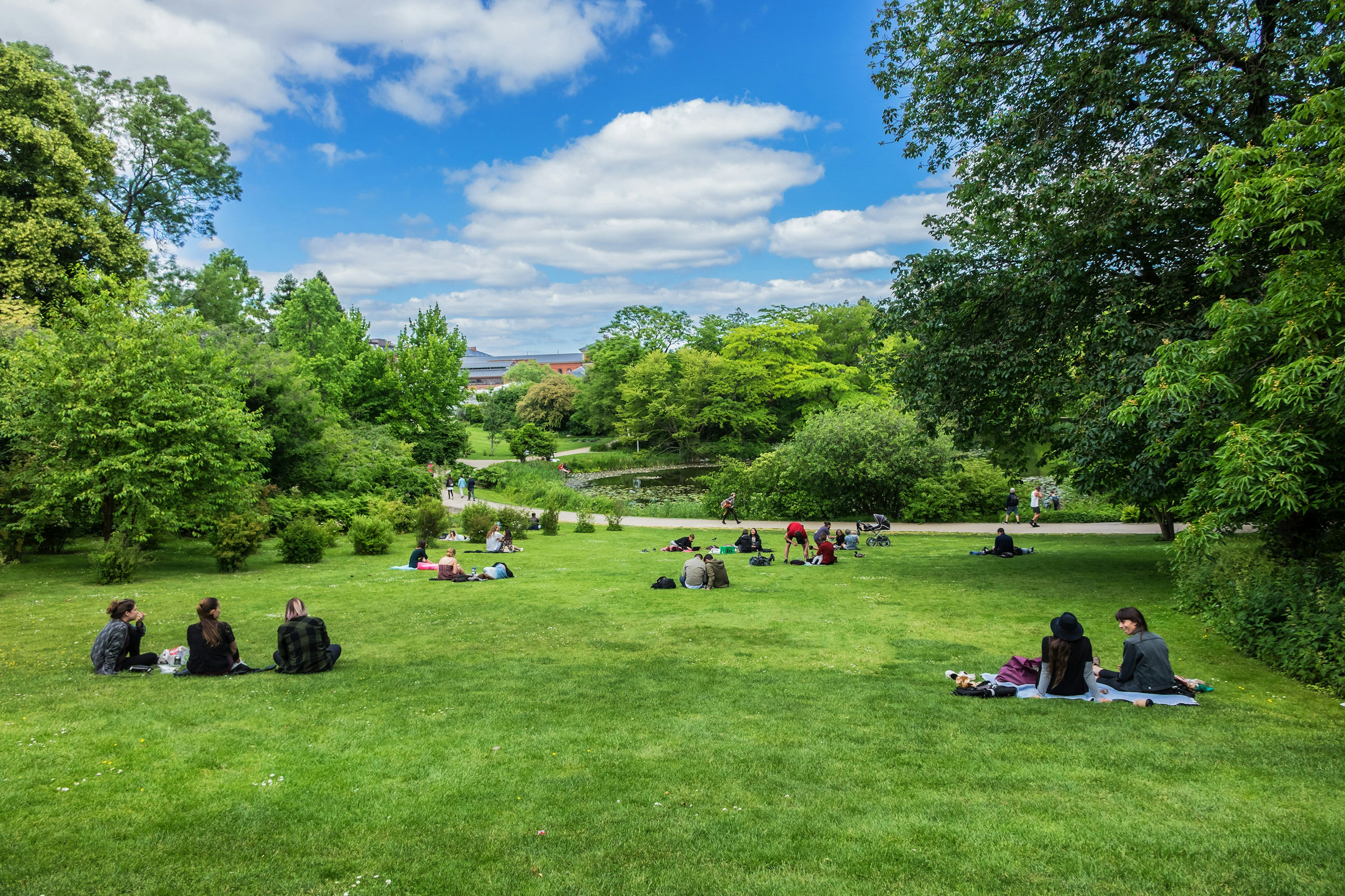 COPENHAGEN, DENMARK - JUNE 21, 2017: The Botanical Gardens in Copenhagen. The Botanical Garden is a unique green space in the heart of Copenhagen, which invites engagement in the world of nature.
702918868
botanic, botanical, botanical gardens, botanisk have, copenhagen, danish, danmark, denmark, eu, europe, european, european union, garden, green, landscape, northern europe, park, peace, peaceful, public, quiet, quietness, scandinavia, scandinavian, scenic, sky, space, sunny, sunshine, tourism, travel