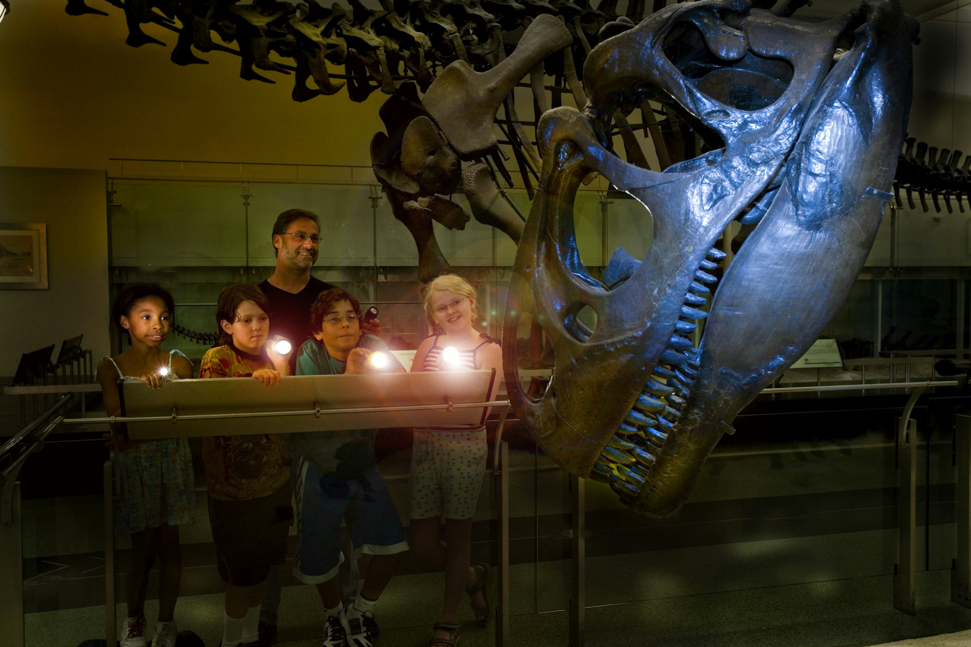 Four kids and an adult study a T. Rex skeleton with flashlights © AMNH/D. Finnin