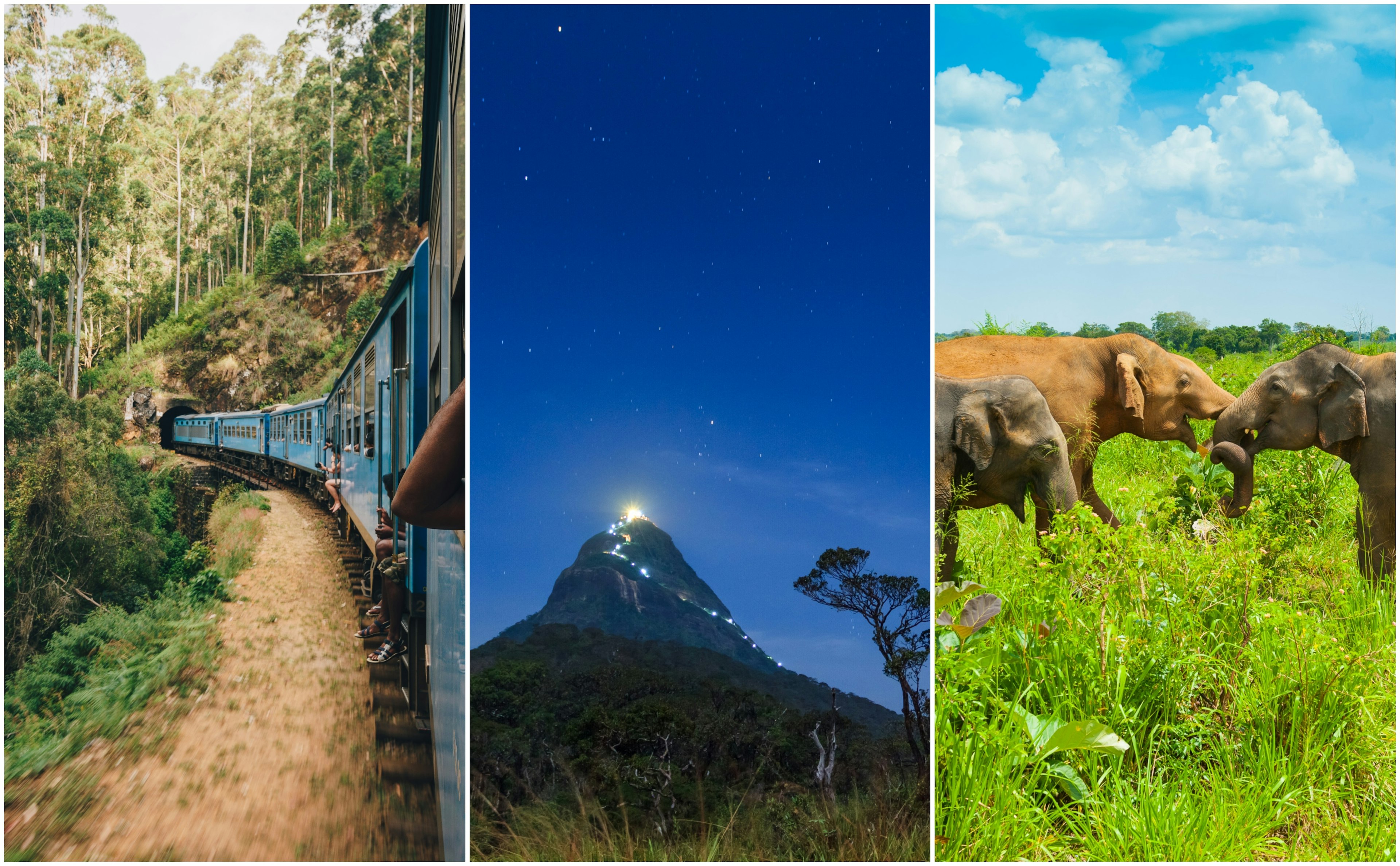 Left: a train running though tea plantations; centre: a mountain path lit up at night; right: elephants in a national park.