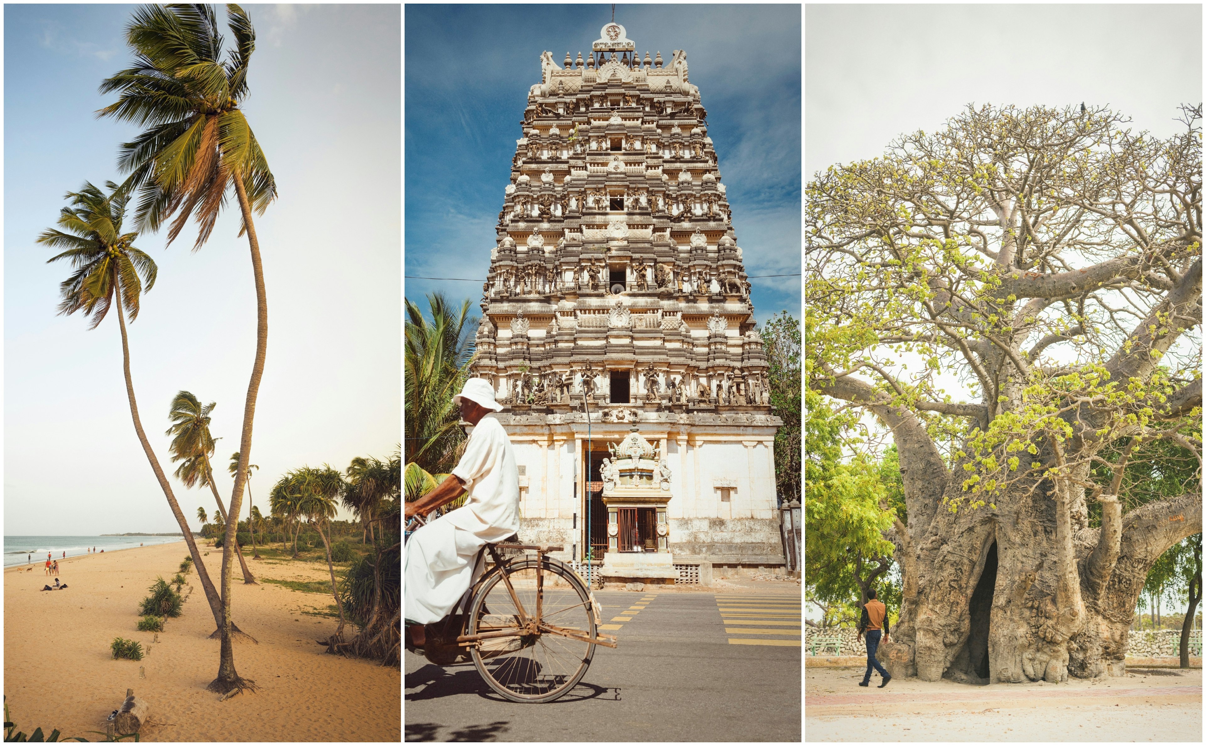 Left: palm trees on a long golden beach; center: a temple with ornate sculptures on its exterior; right: a baobob tree with a very wide trunk.