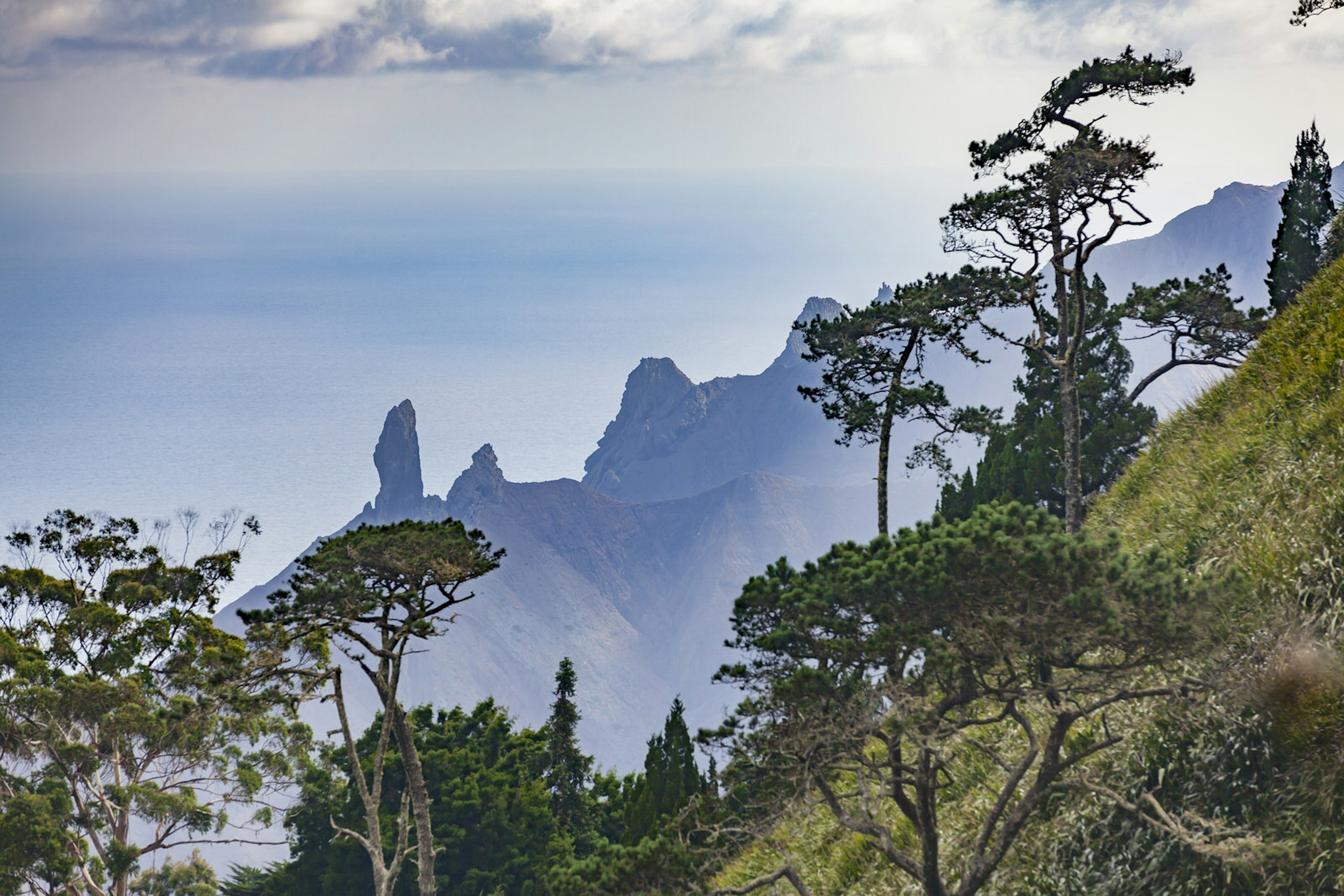 Beyond a slope of nearby trees is a serrated ridge of incredible tooth-like peaks.