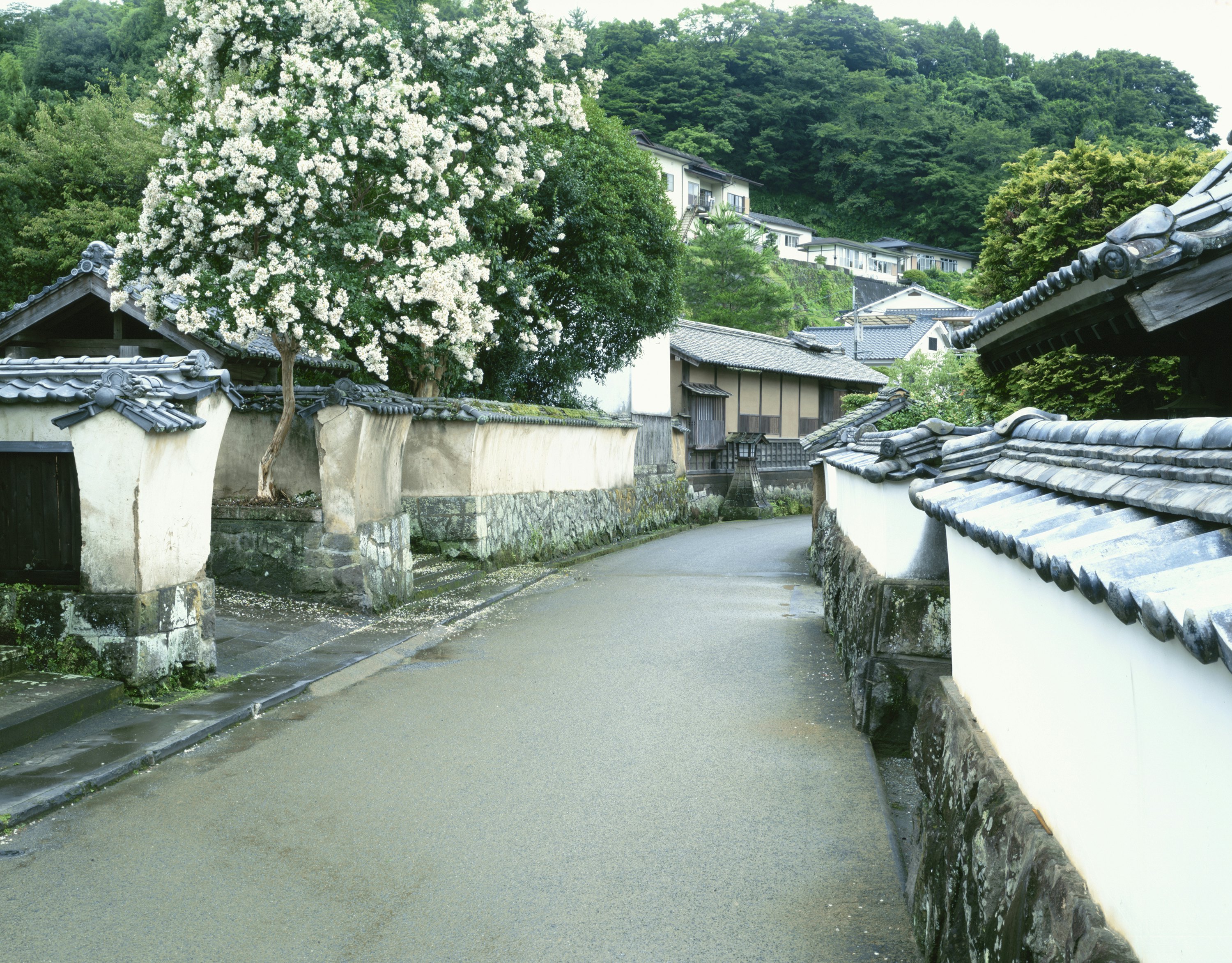 76013398
Architecture, Asia, Building Exterior, Building Structure, Color Image, Day, Flower, Horizontal, House, Japan, Nature, Nobody, Oita Prefecture, Outdoors, Photography, Road, Samurai Residence, Suburb, Takeda, Taketa, Tree, Urban Scene, Wall