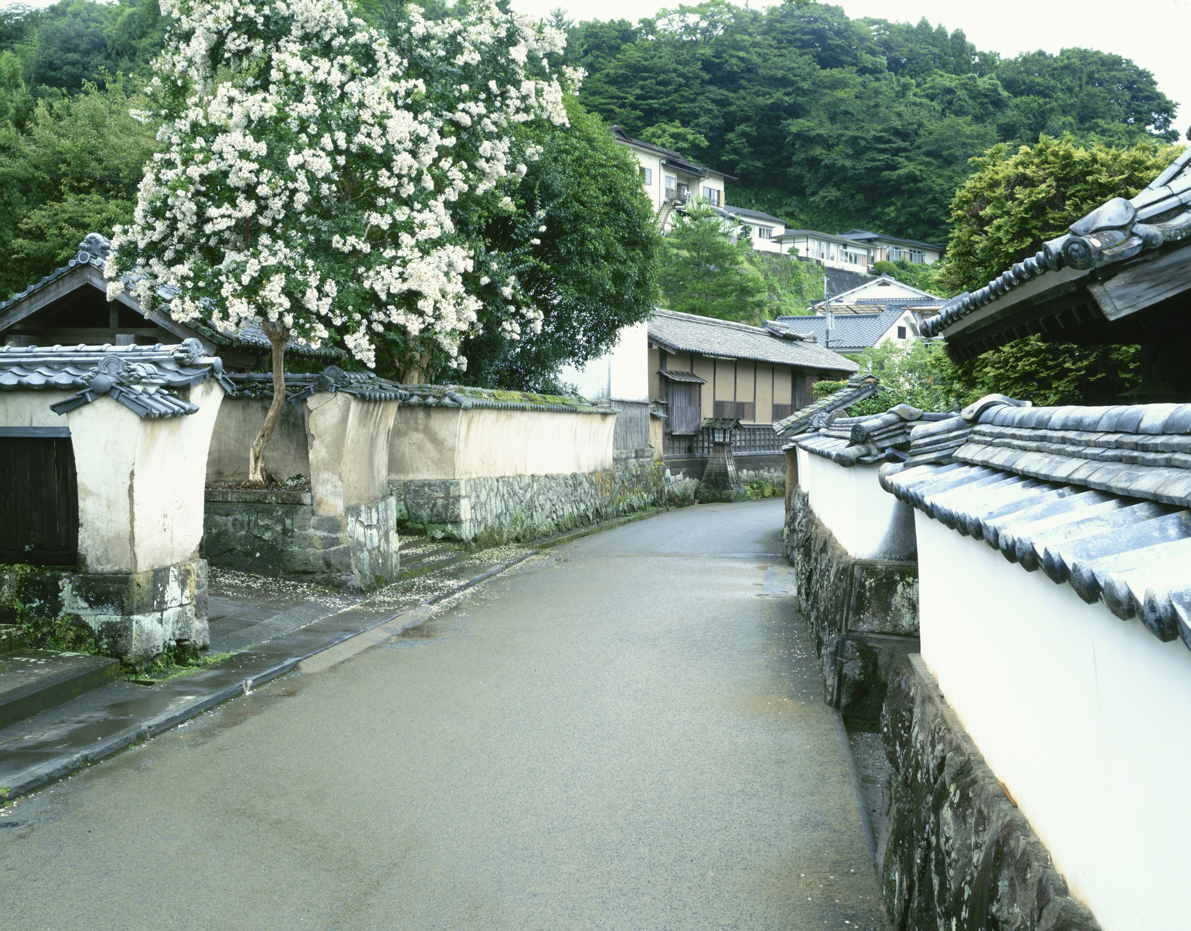 Street winding through Taketa