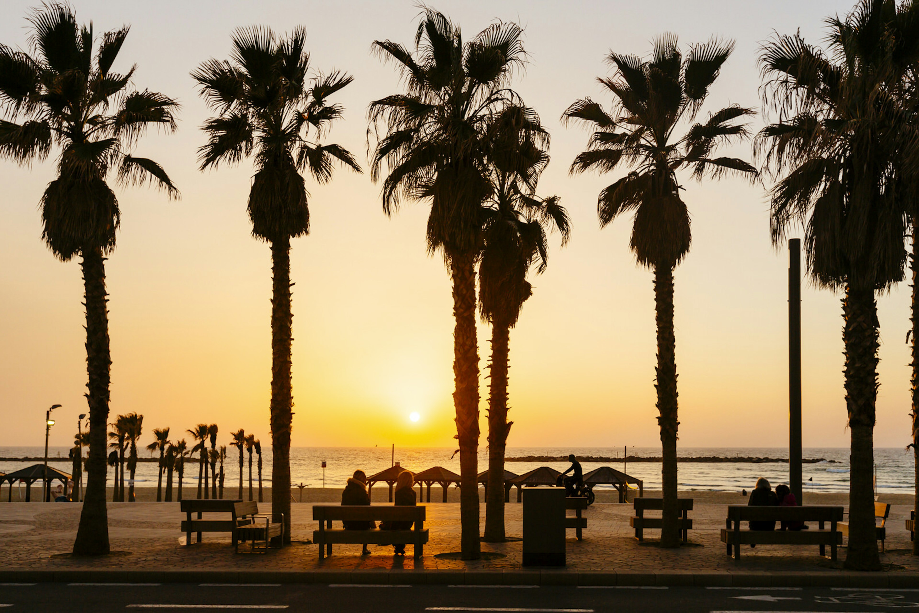 Sunset seen through the palm trees at the beach in Tel Aviv, Israel © Alexander Spatari / Getty Images