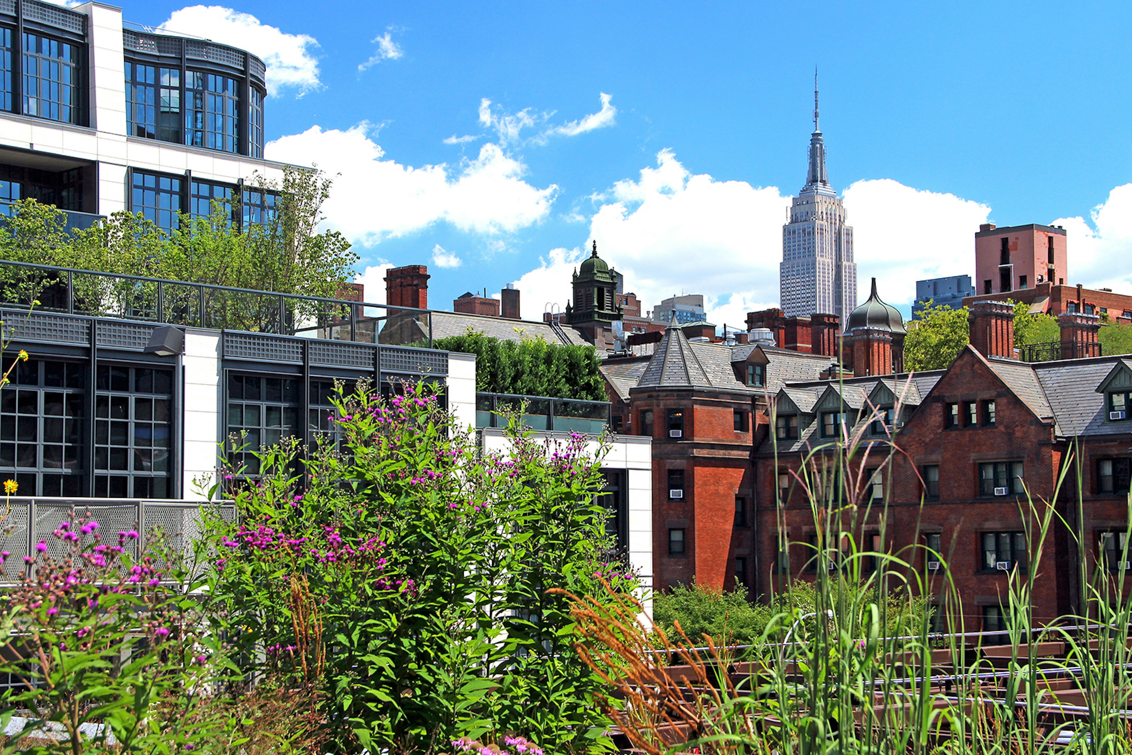 flowers and grasses on the High Line frame buildings from various eras, including the Empire State Building