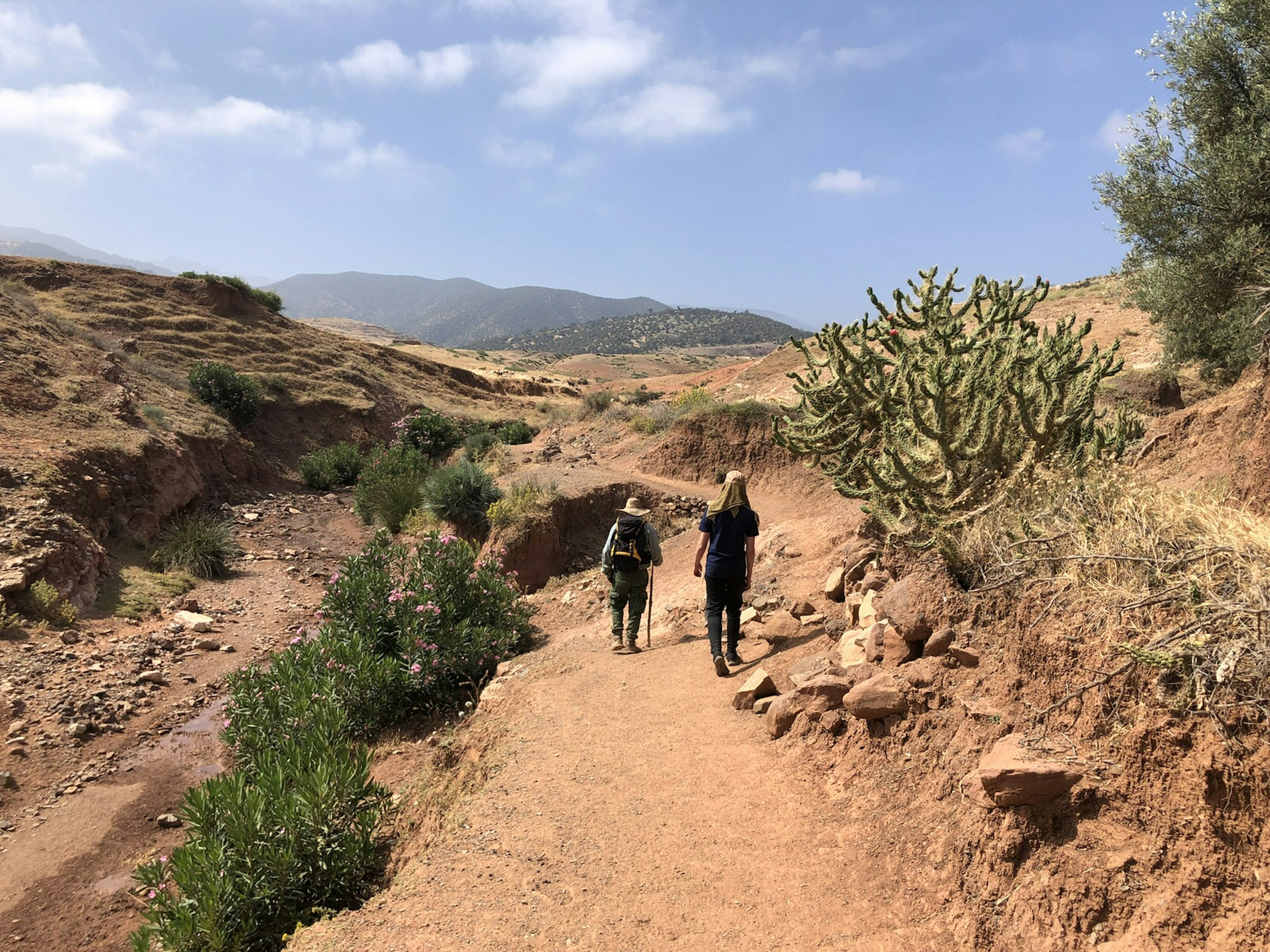 A main with a palm-leaf hat and walking stick leads the writer's son along a dirt path lined by cacti.