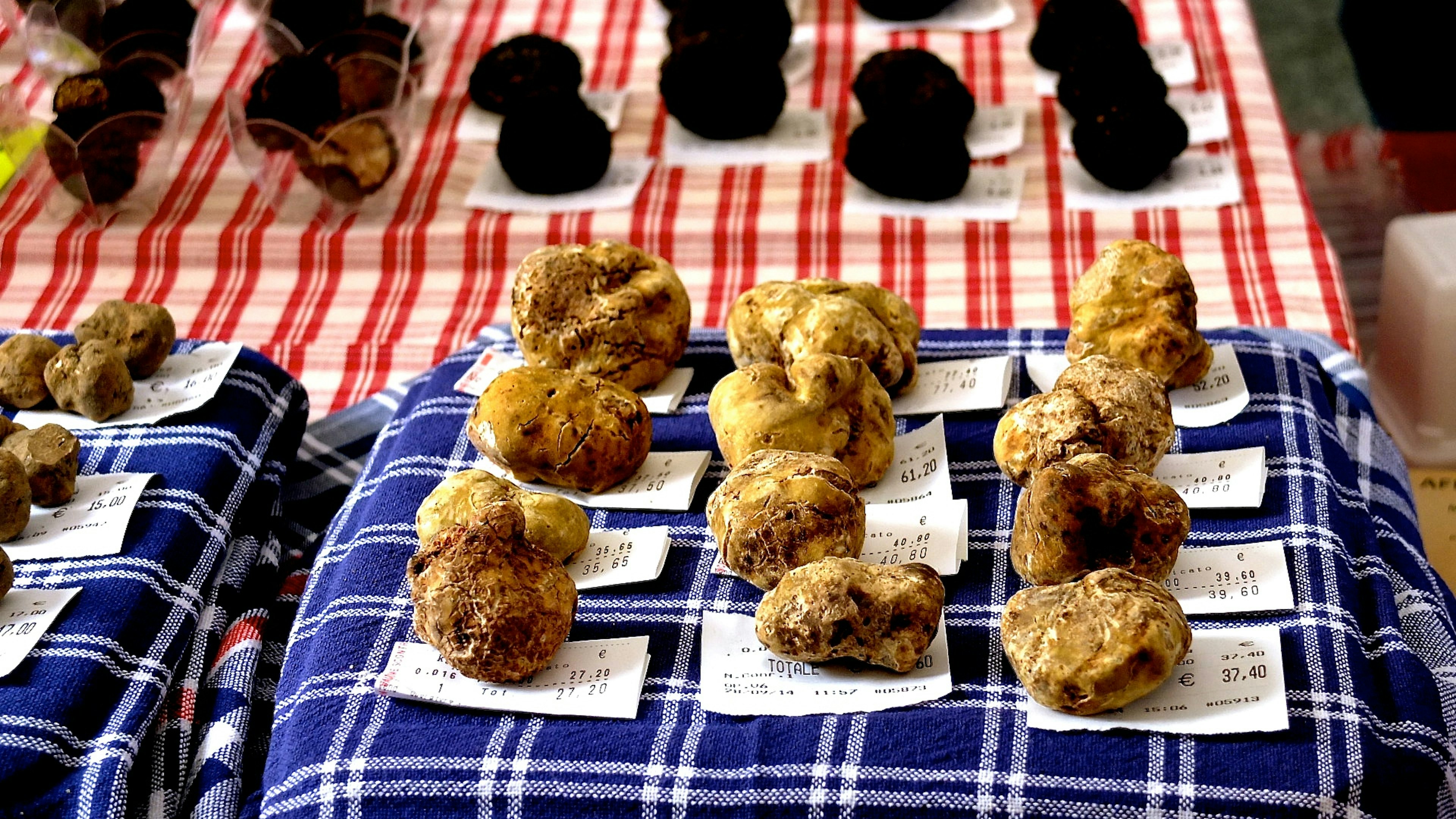 595707557
Arrangement, Blue, Checked Pattern, Food, Food And Drink, For Sale, Freshness, Healthy Eating, High Angle View, In A Row, Indoors, Indulgence, Market, No People, Order, Price Tag, Ready-To-Eat, Red, Repetition, Still Life, Tablecloth, Truffle, Alba, Italy