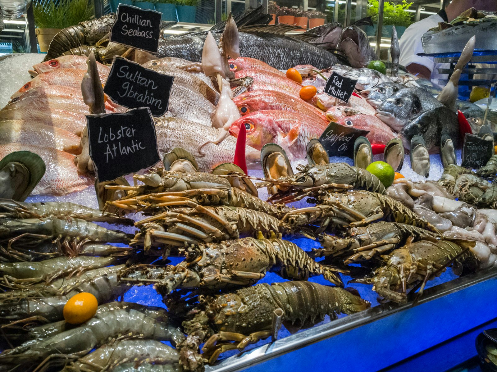 Seafood counter at Turquoise. Image by Lara Brunt / Lonely Planet