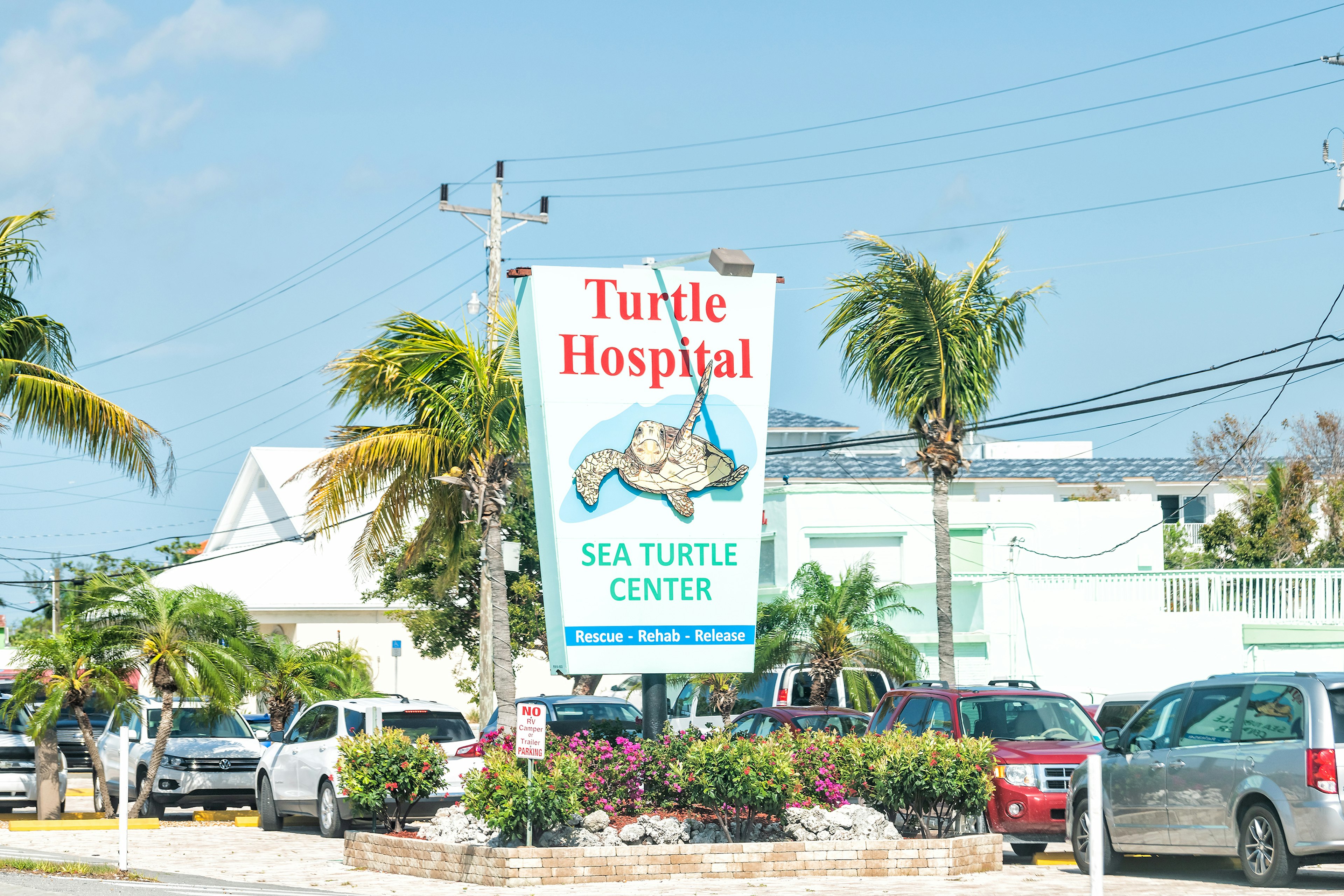 Marathon, USA - May 1, 2018: Turtle Hospital, Sea center, clinic for wild animals, wildlife on overseas highway road, street, US1 route with cars, parking lot in Florida keys, key