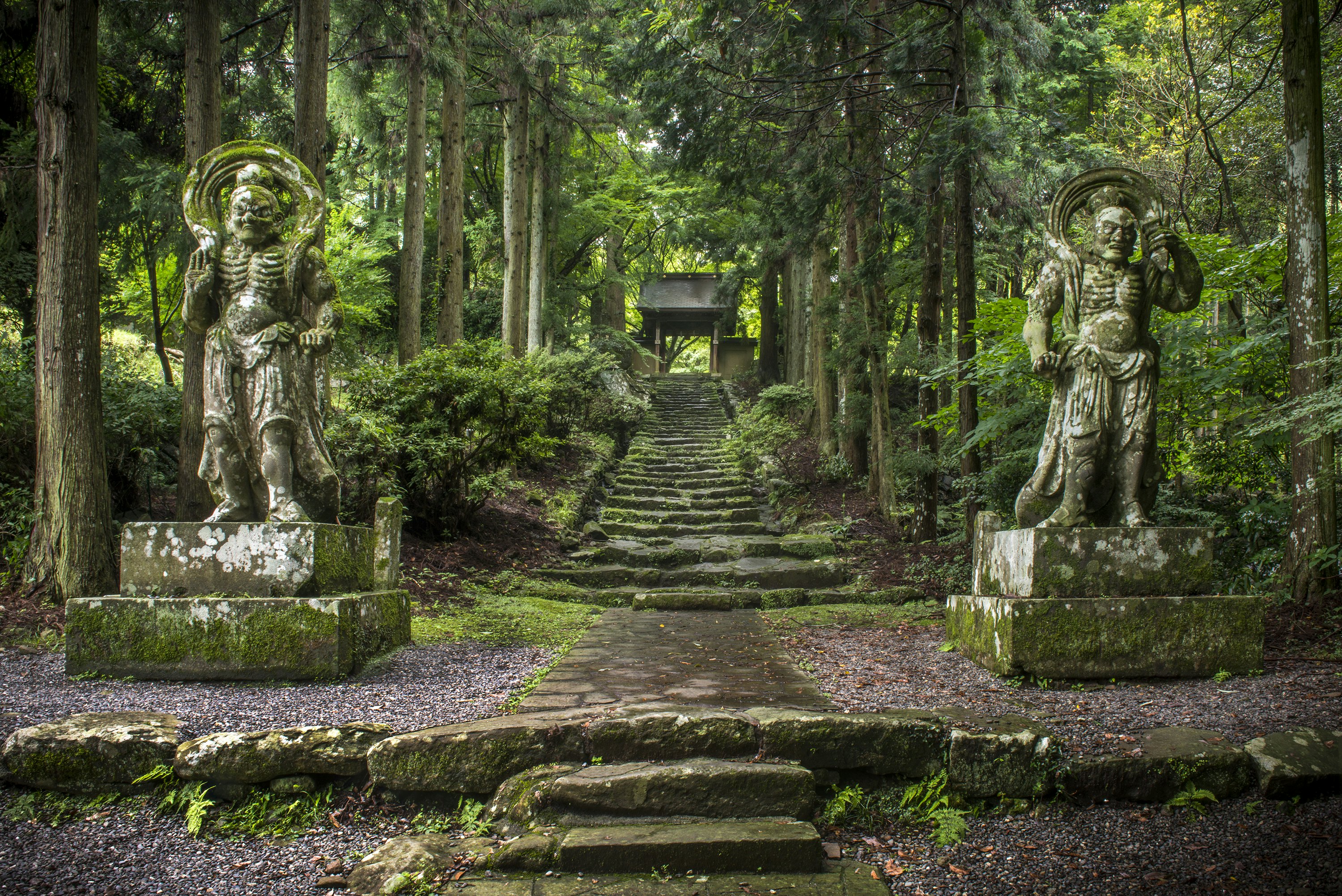 580472147
Nio-man, Futagoji, Kunisaki, Japan, temple
Nio-man statues, and stairs at the entrance of Futagoji Temple, Kunisaki, Japan.