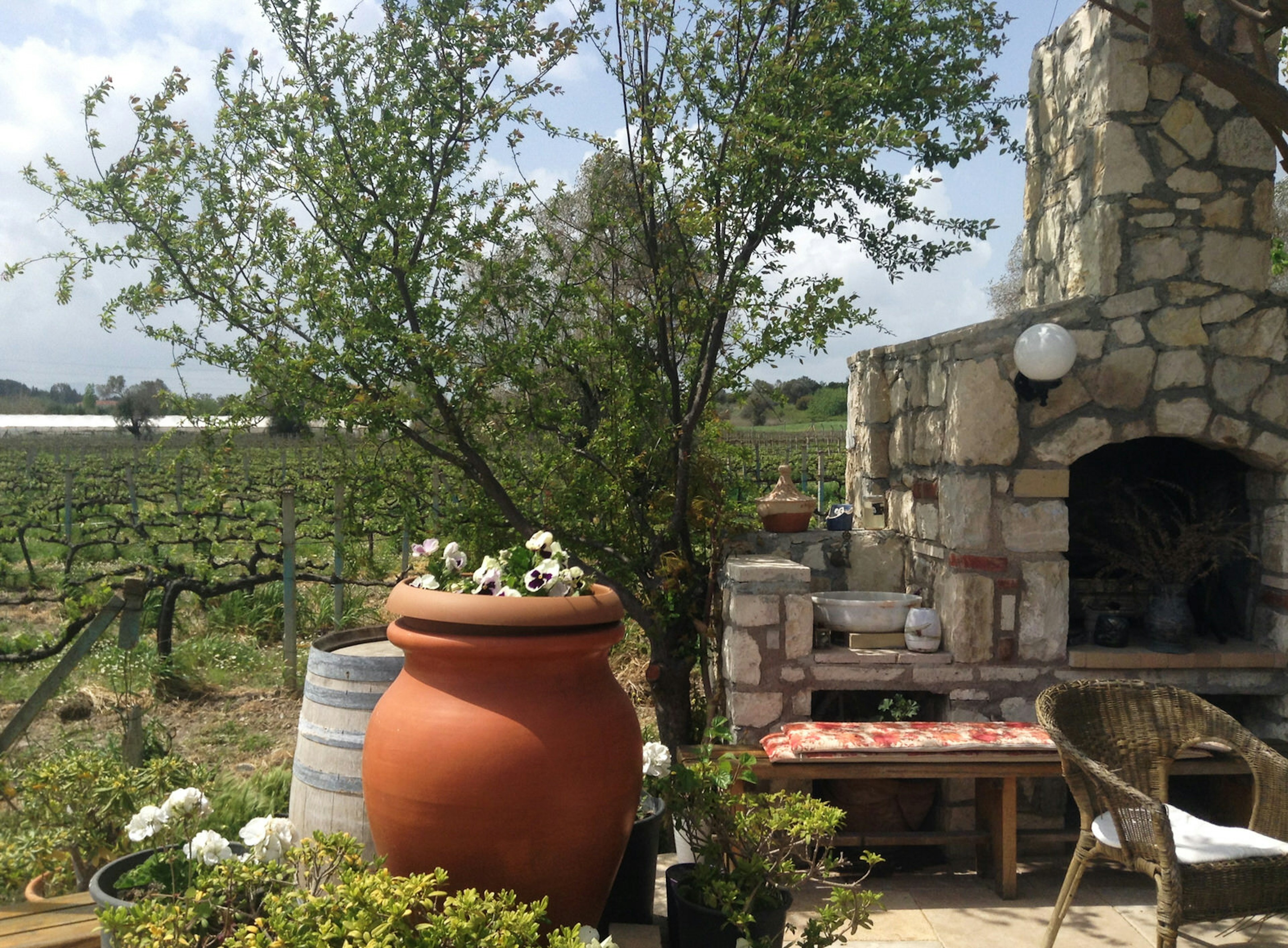 An outdoor scene at Urlice Vineyards