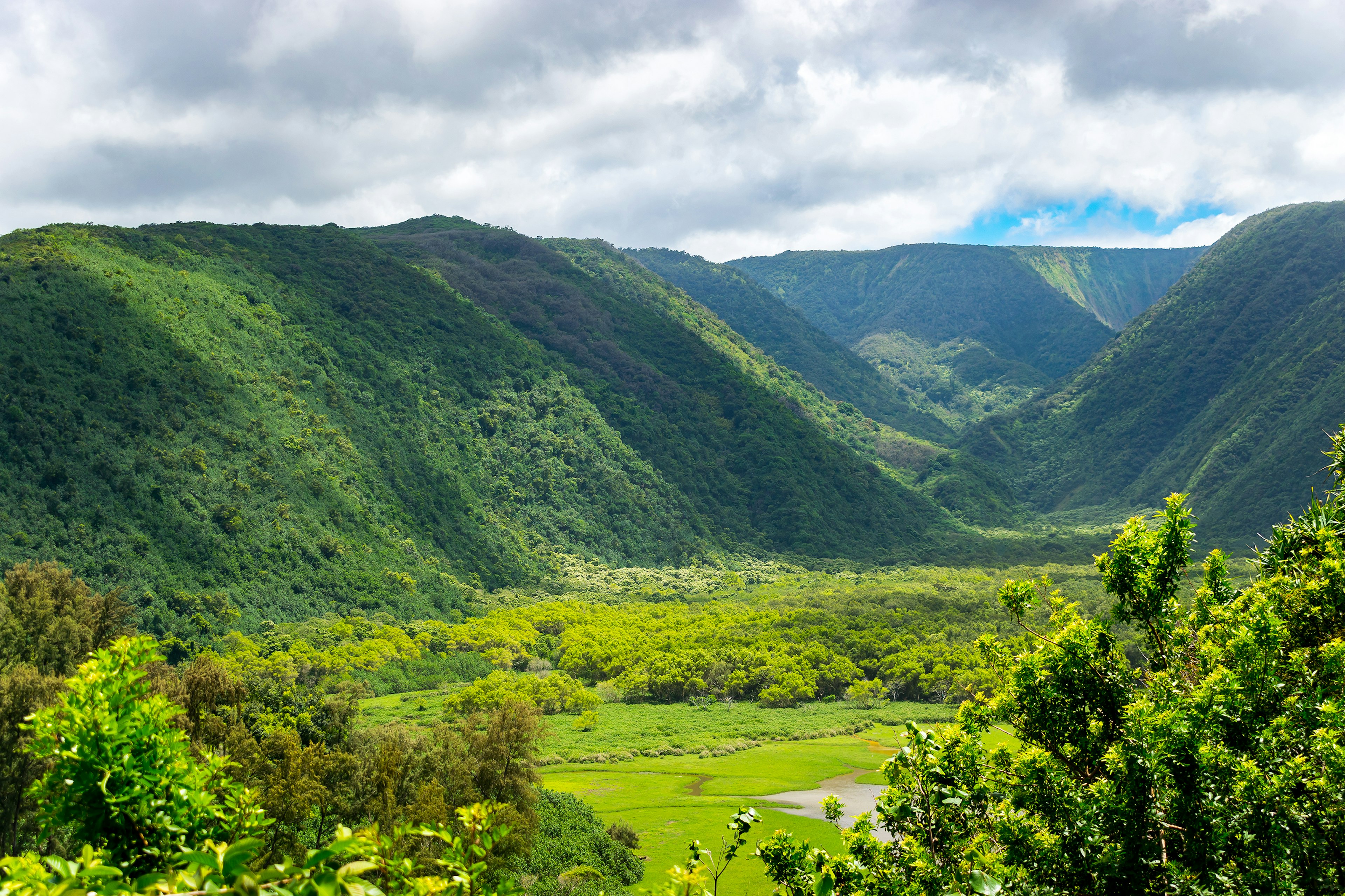 The lush, green mountains of the Pololū Valley, Hawaii