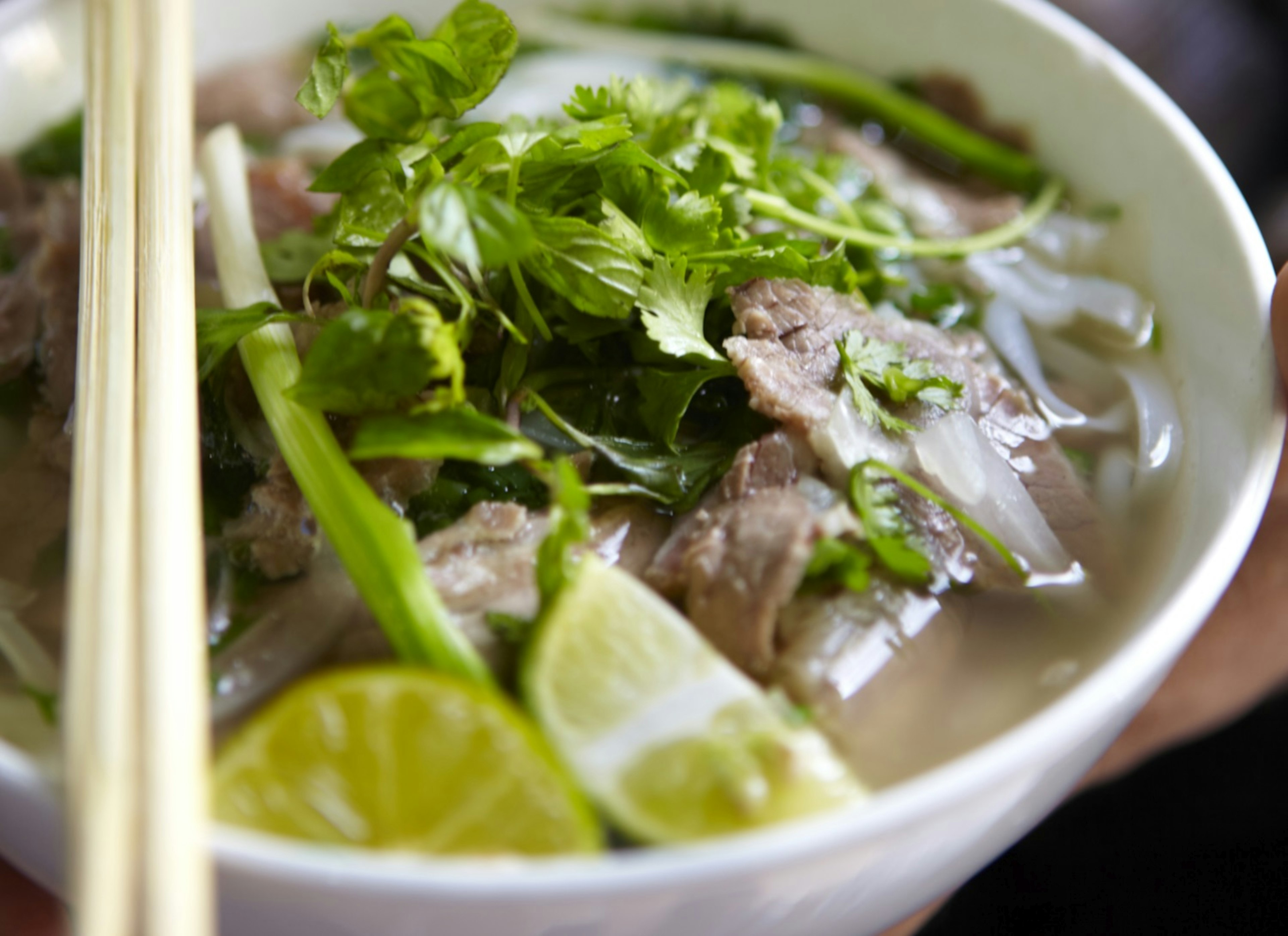 Fresh bowl of pho bo