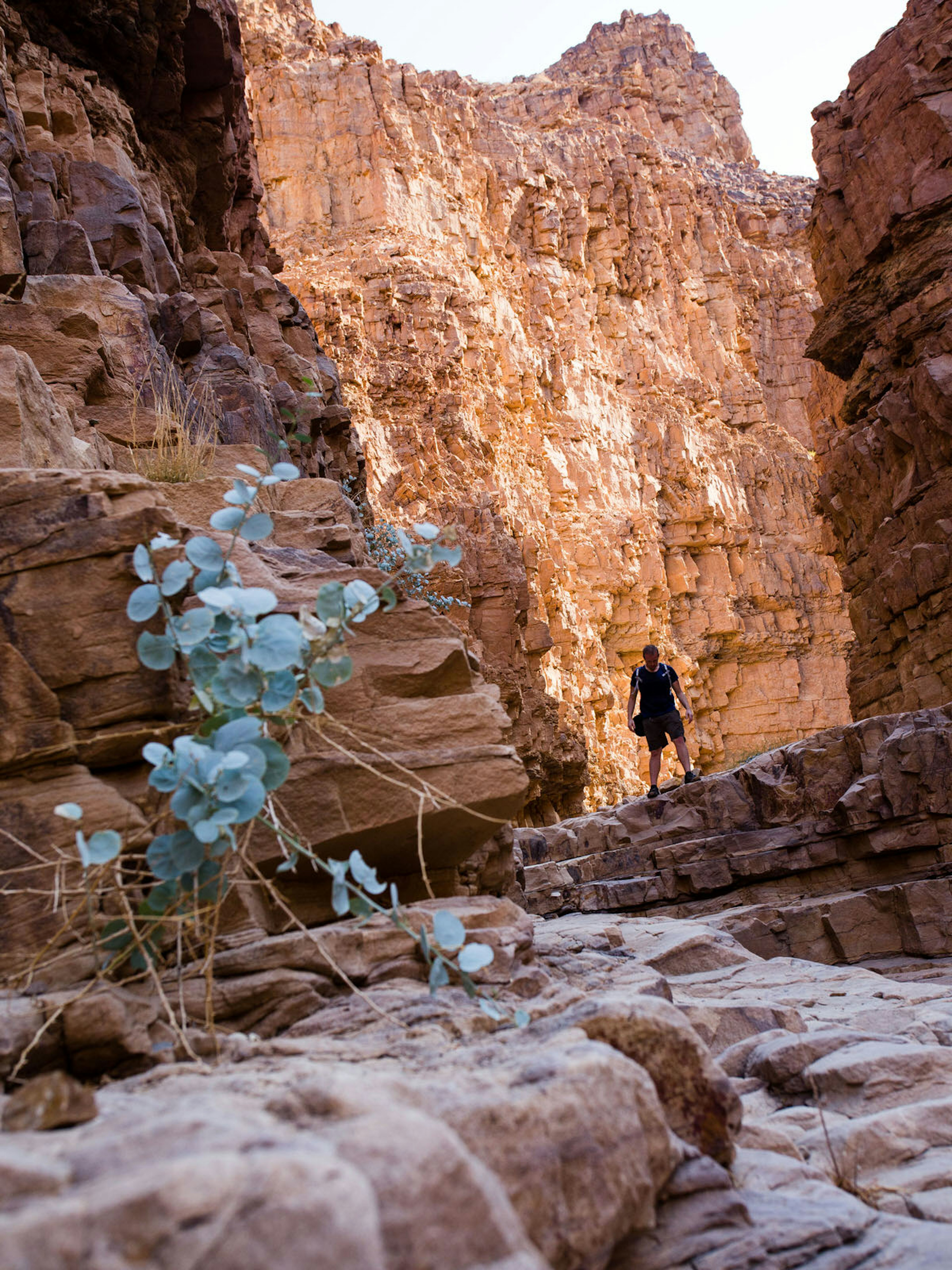 Man hiking through Wadi Himara, Dead Sea, Jordan © Stephen Lioy / Lonely Planet