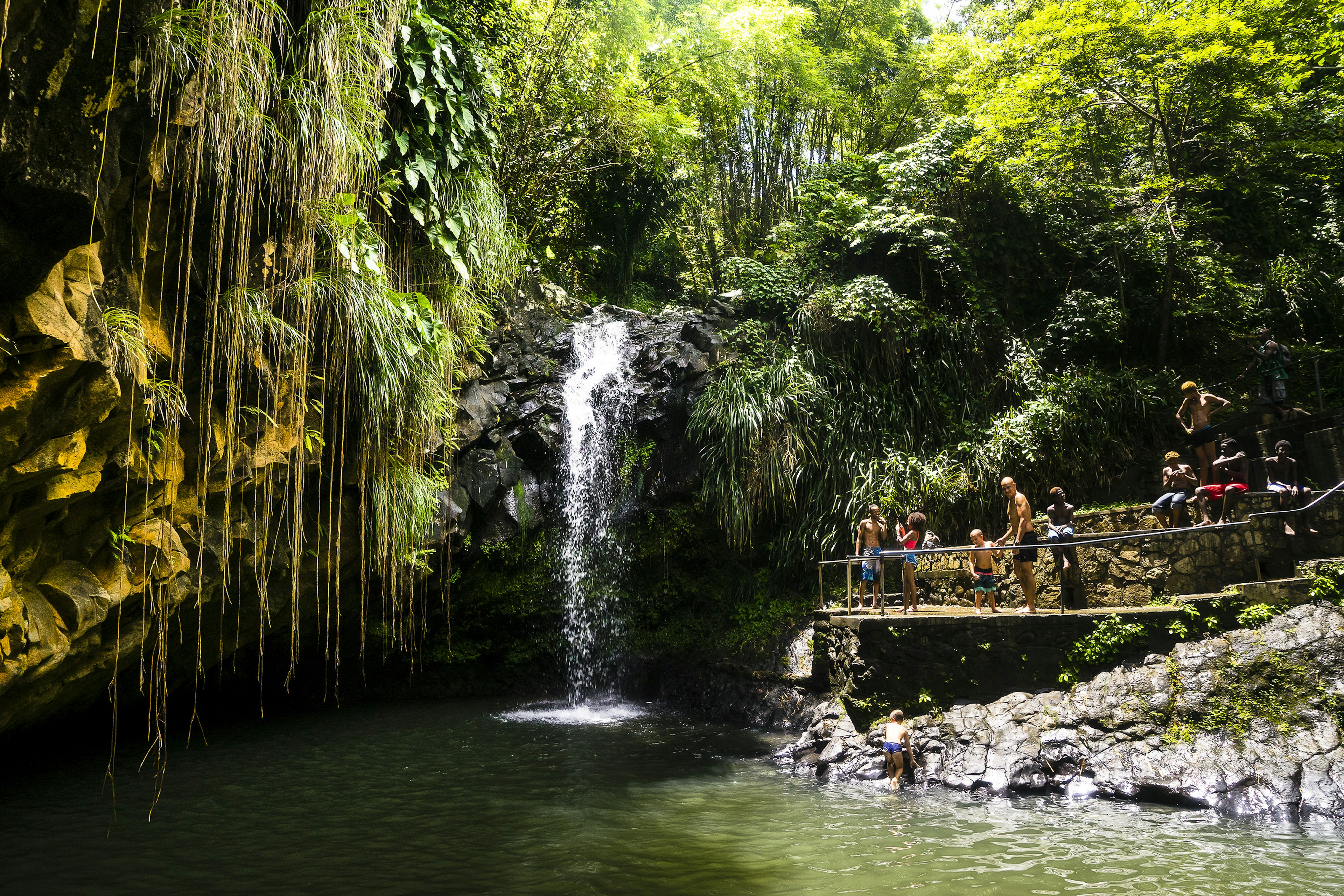 Groupe de personnes devant la cascade d'Annandale, Grenade, West Indies / A group of persons in front of the Annandale Falls, Grenada, West Indies
885387894
bathing, unrecognizable people, vegetation