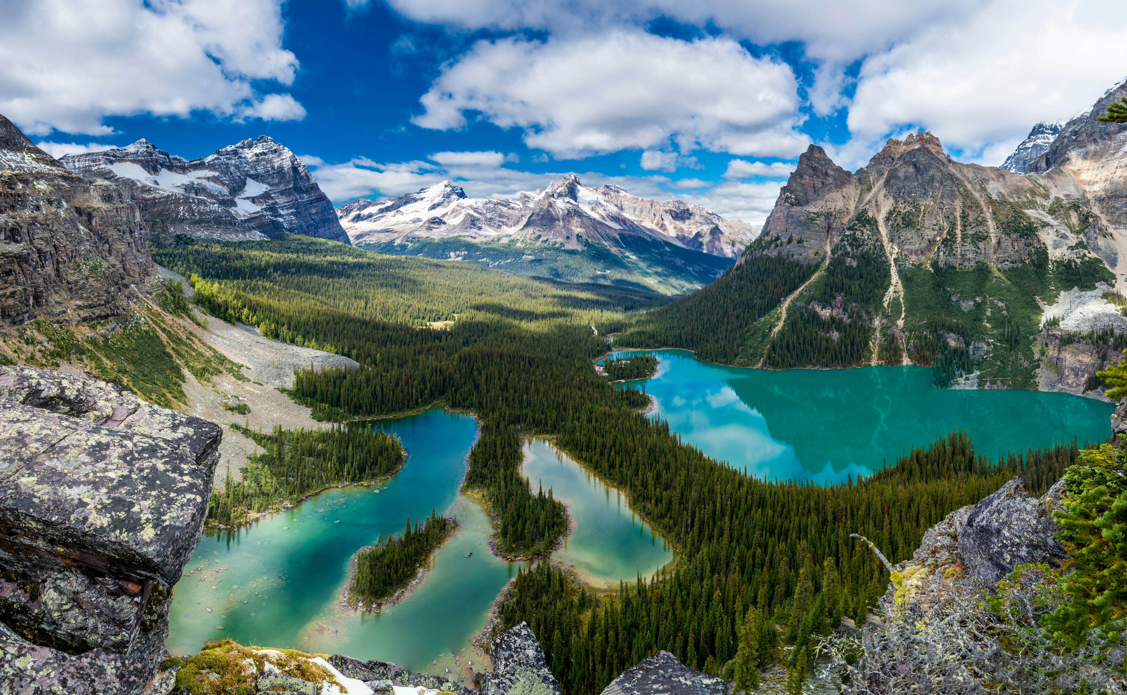 A view of Lake O'Hara in YoHo national park. It's located in a valley, surrounded by mountains and tall, larch trees..