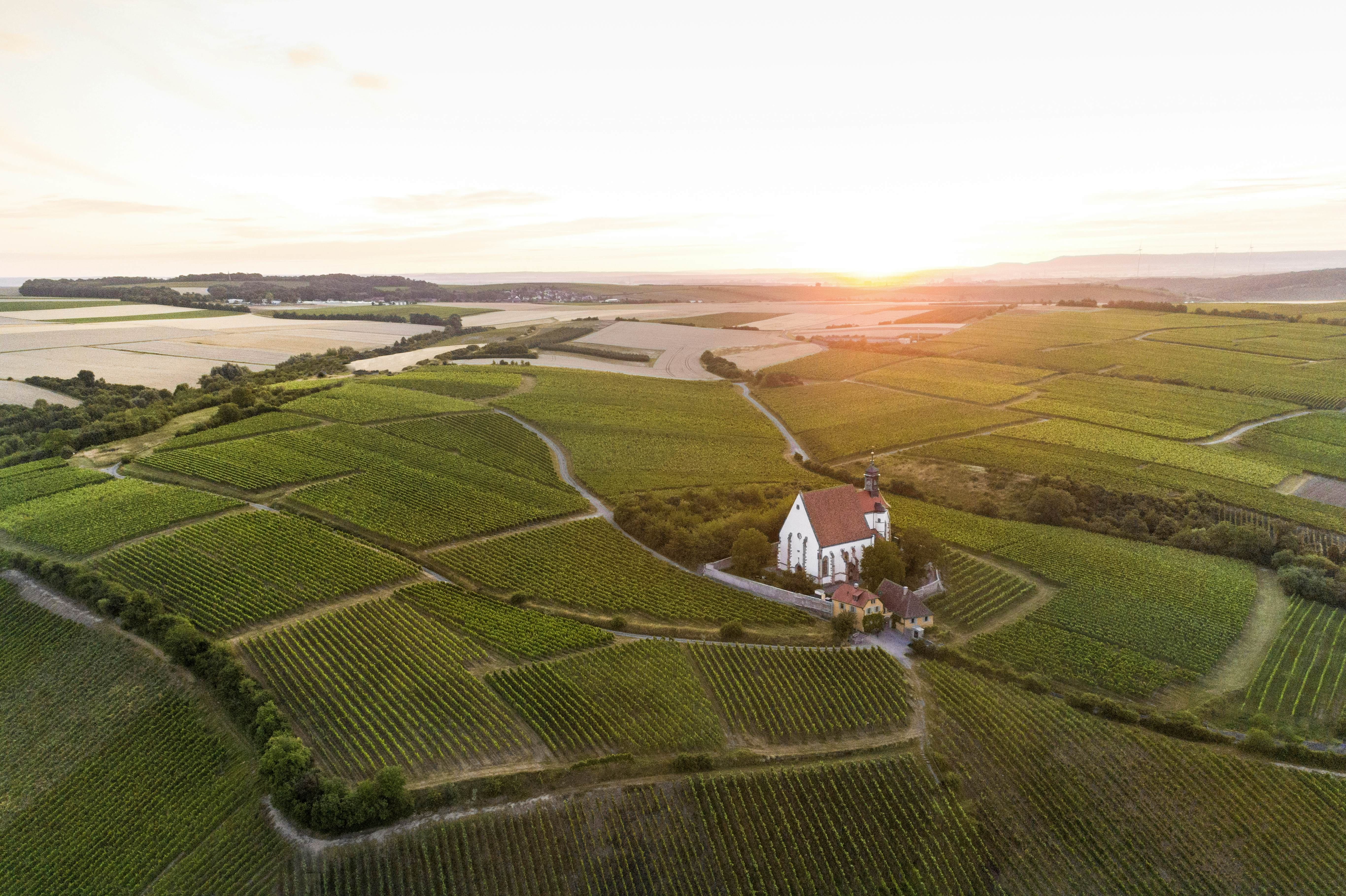 Taken from high above, the sun sets behind a lonely white house in the middle of several vineyards in the Franconia region of Bavaria in Germany