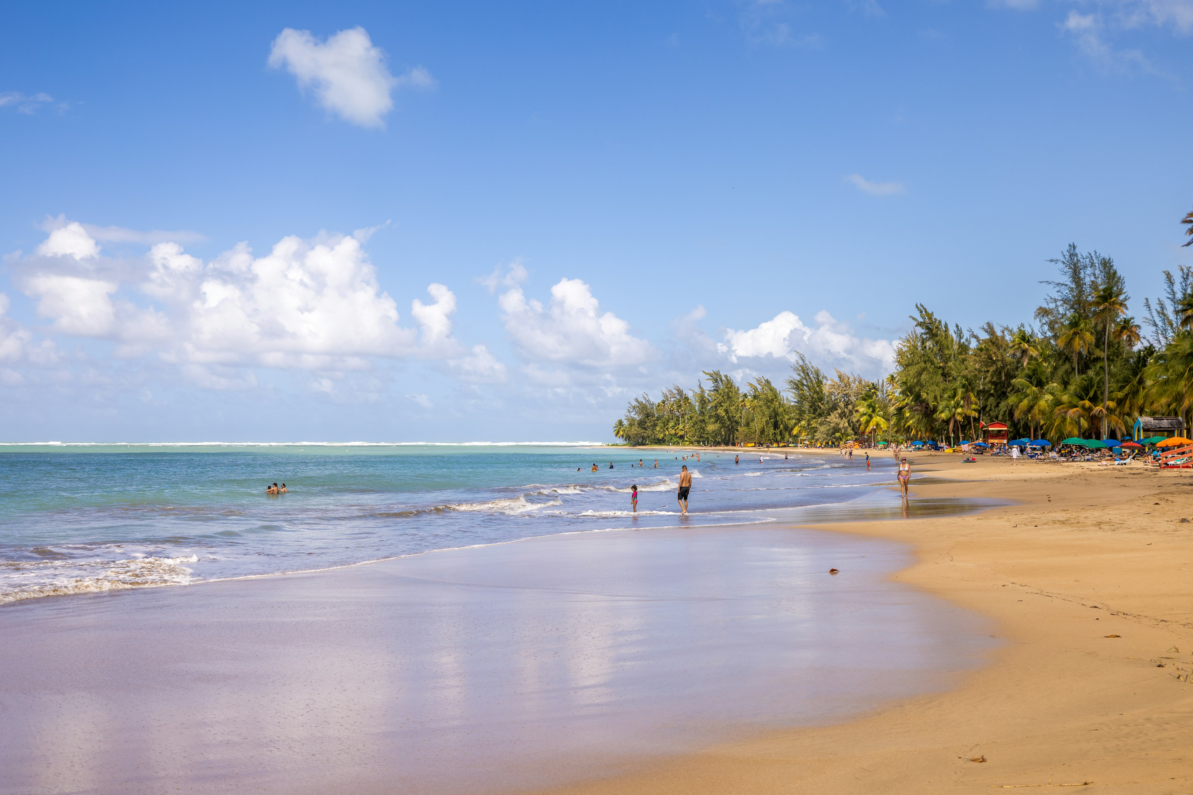 People paddling on the shoreline of a beach on a sunny day