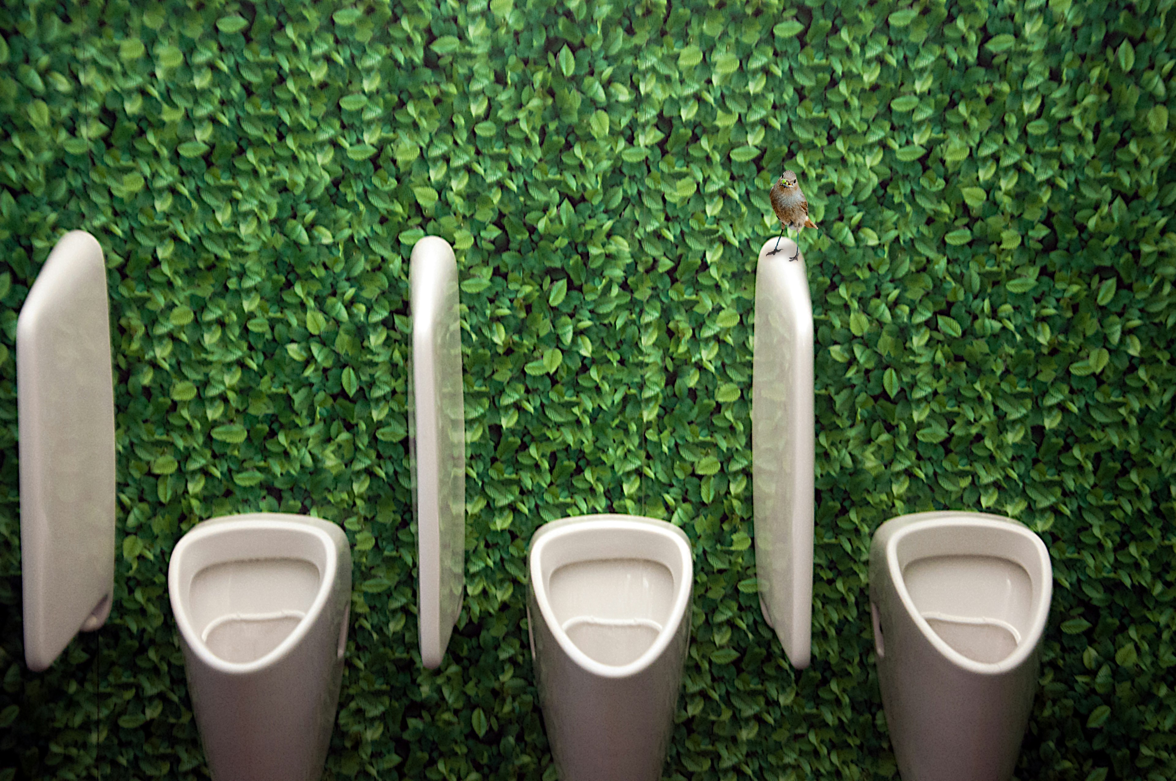 Three urinals against a wall covered in green leaves, with a bird on one of the dividers.