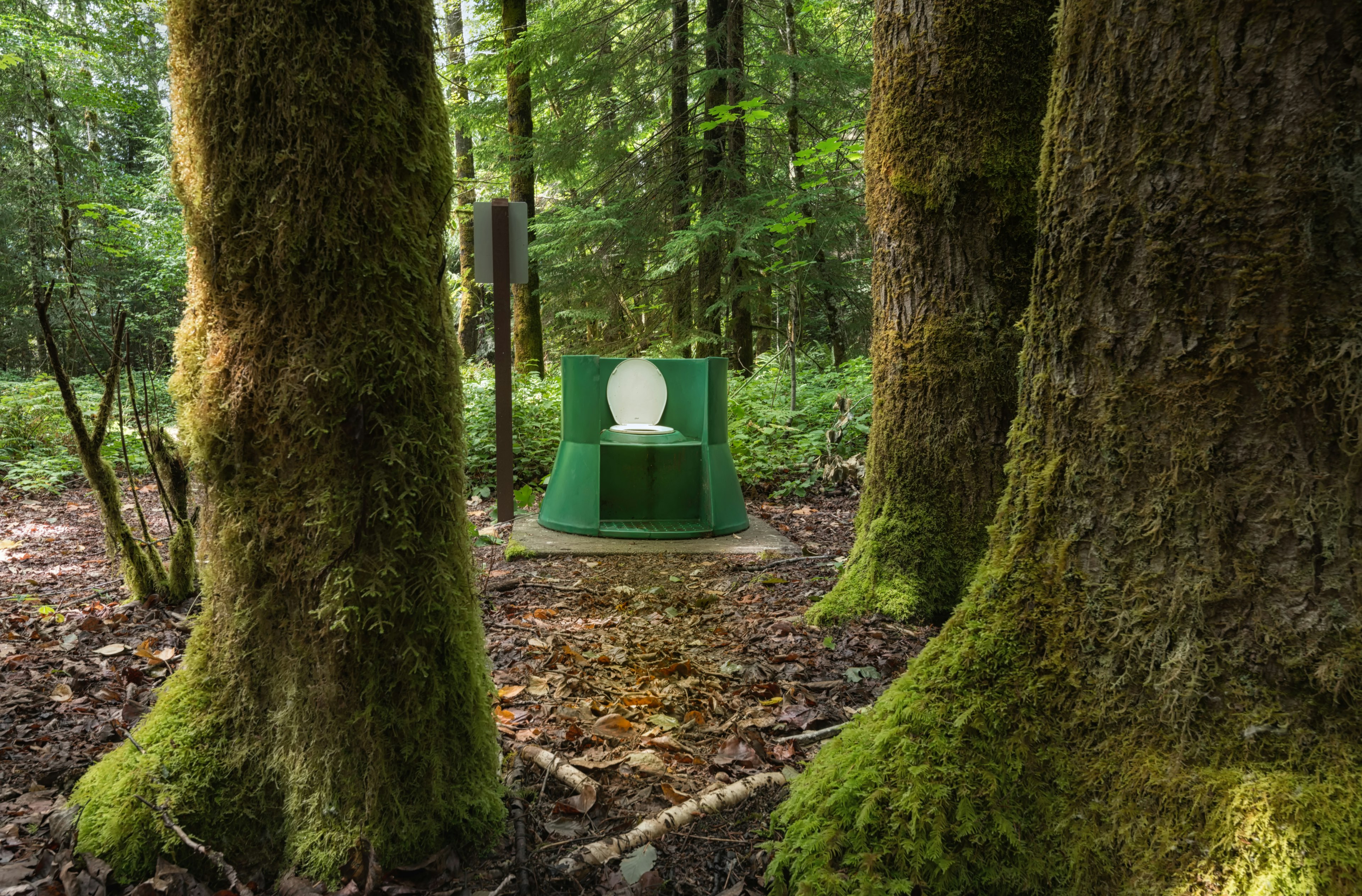 Toilet in a forest in British Columbia, Canada. The toilet is held in a green structure surrounded by mossy trees.