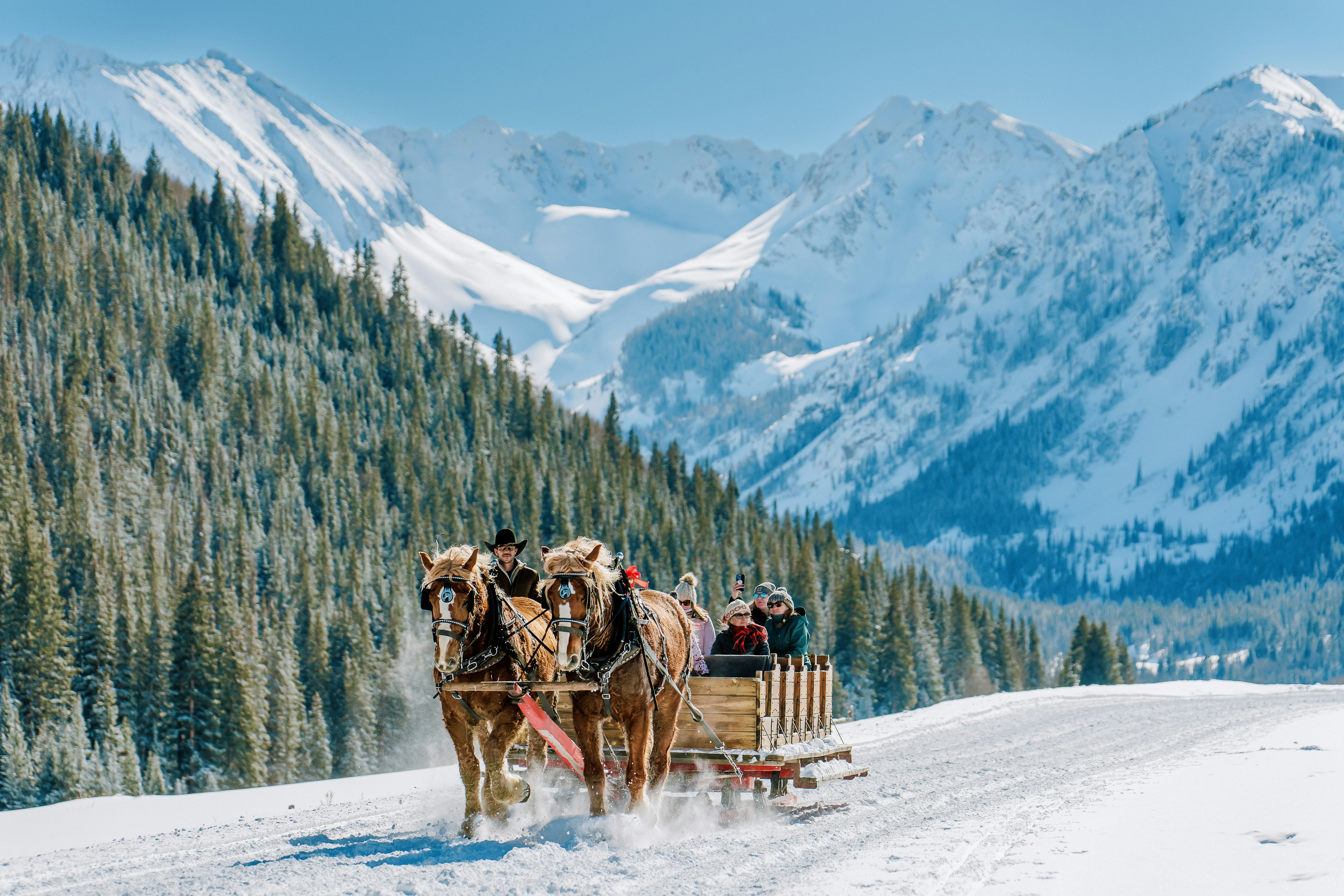 A winter sleigh ride through the snow completes the Aspen experience. Tamara Susa