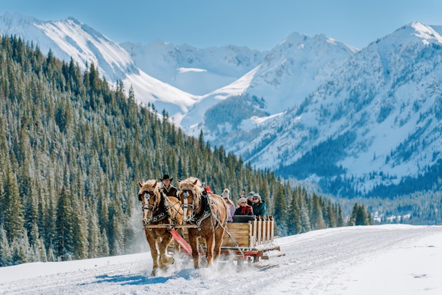 A winter sleigh ride through the snow completes the Aspen experience. Tamara Susa