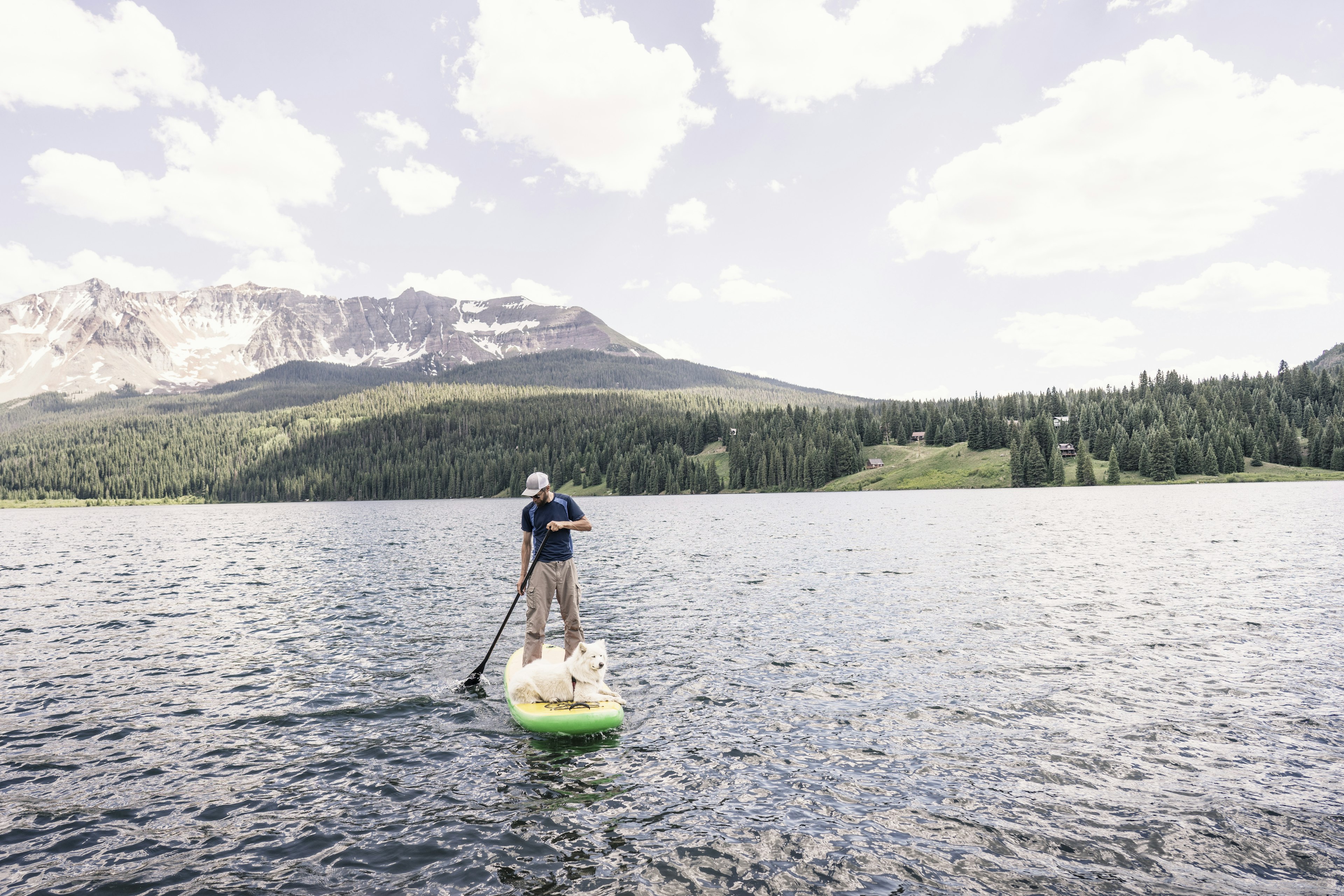 Front view shot of man stand-up paddleboarding with dog on Trout Lake, Telluride, Colorado, USA