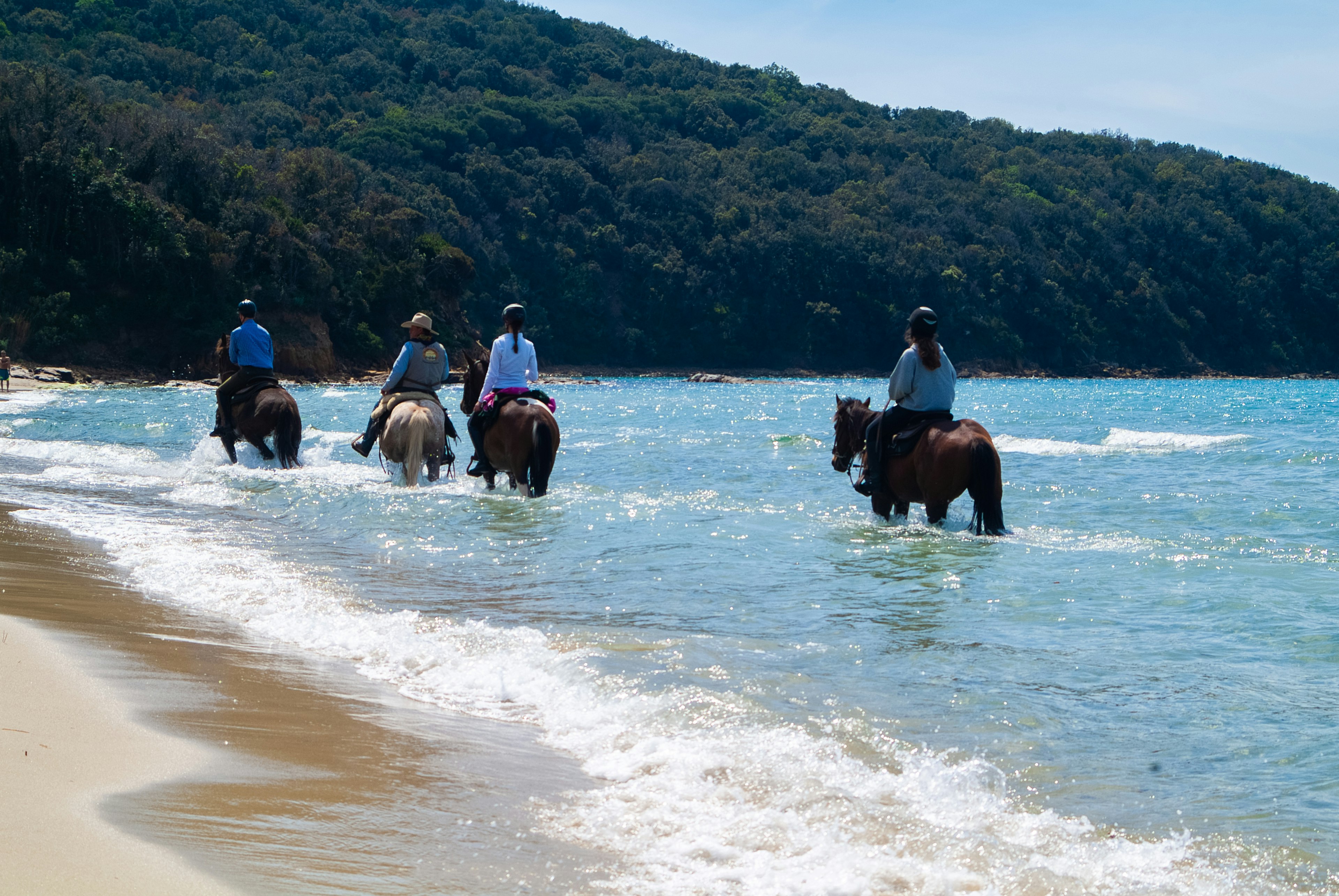 People on horseback ride along the shoreline of a nature park on a sunny day